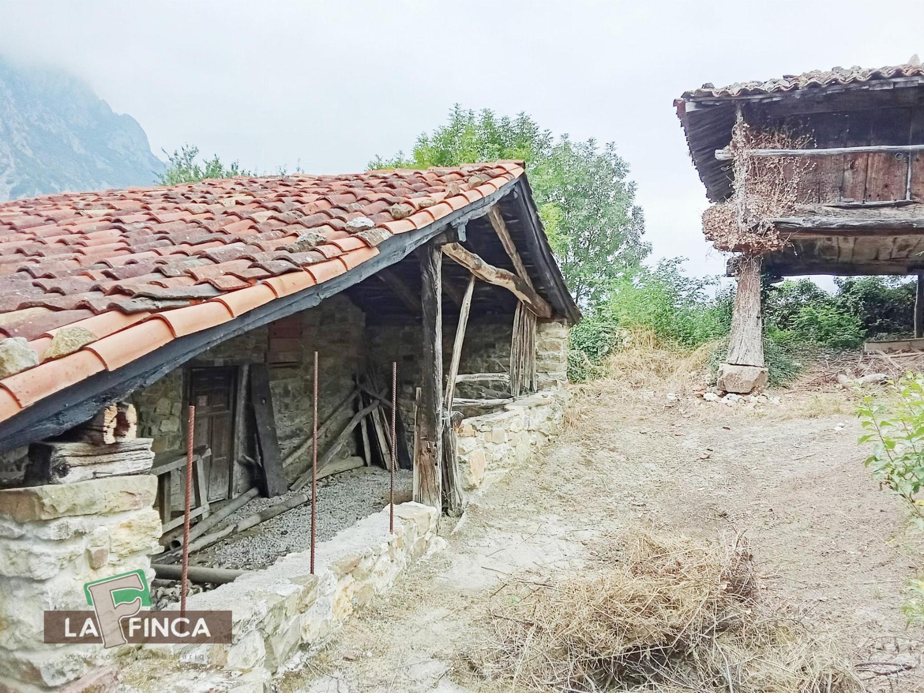 Venta de casa en Oviedo