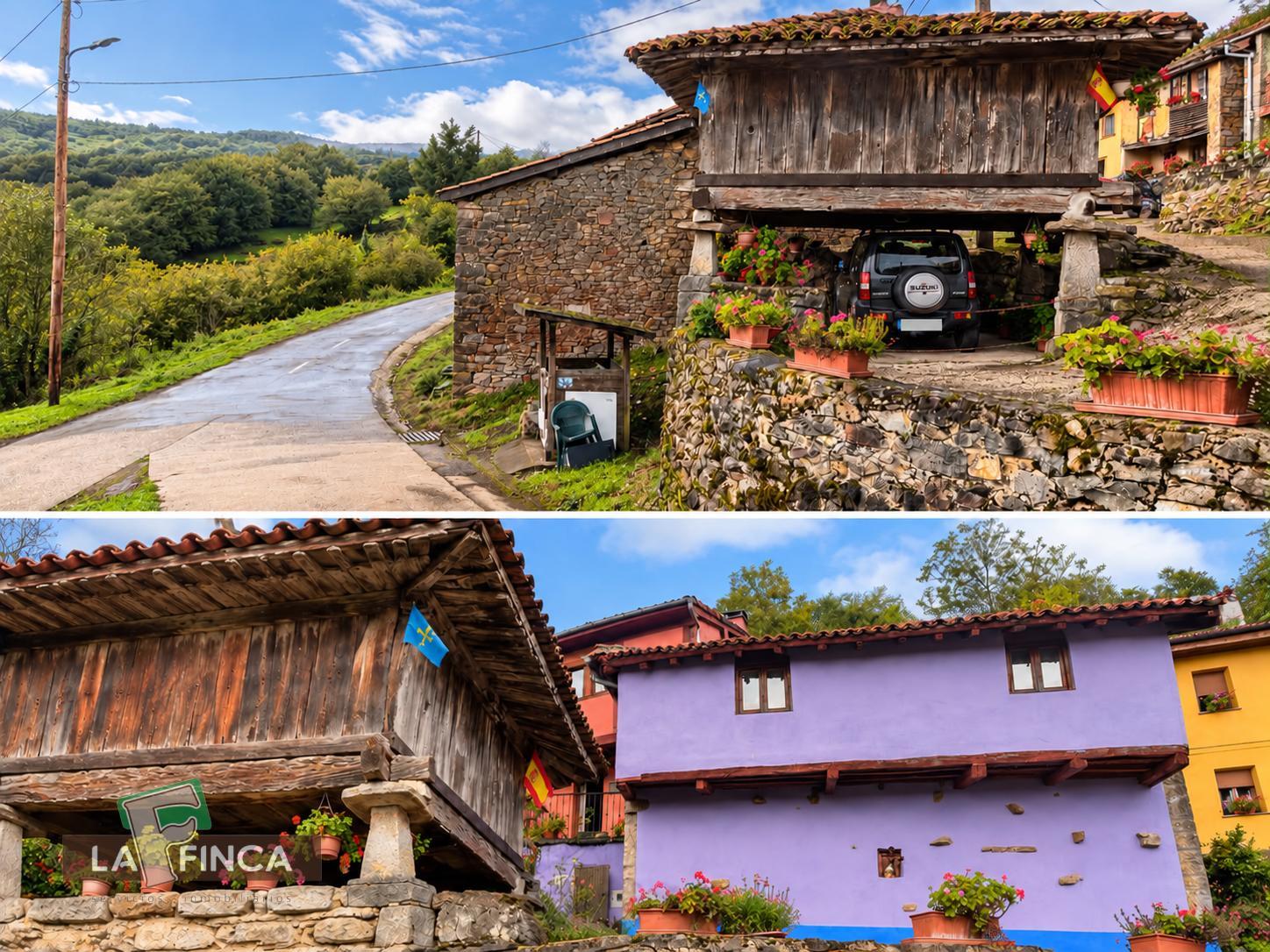 Venta de casa en Proaza Concejo