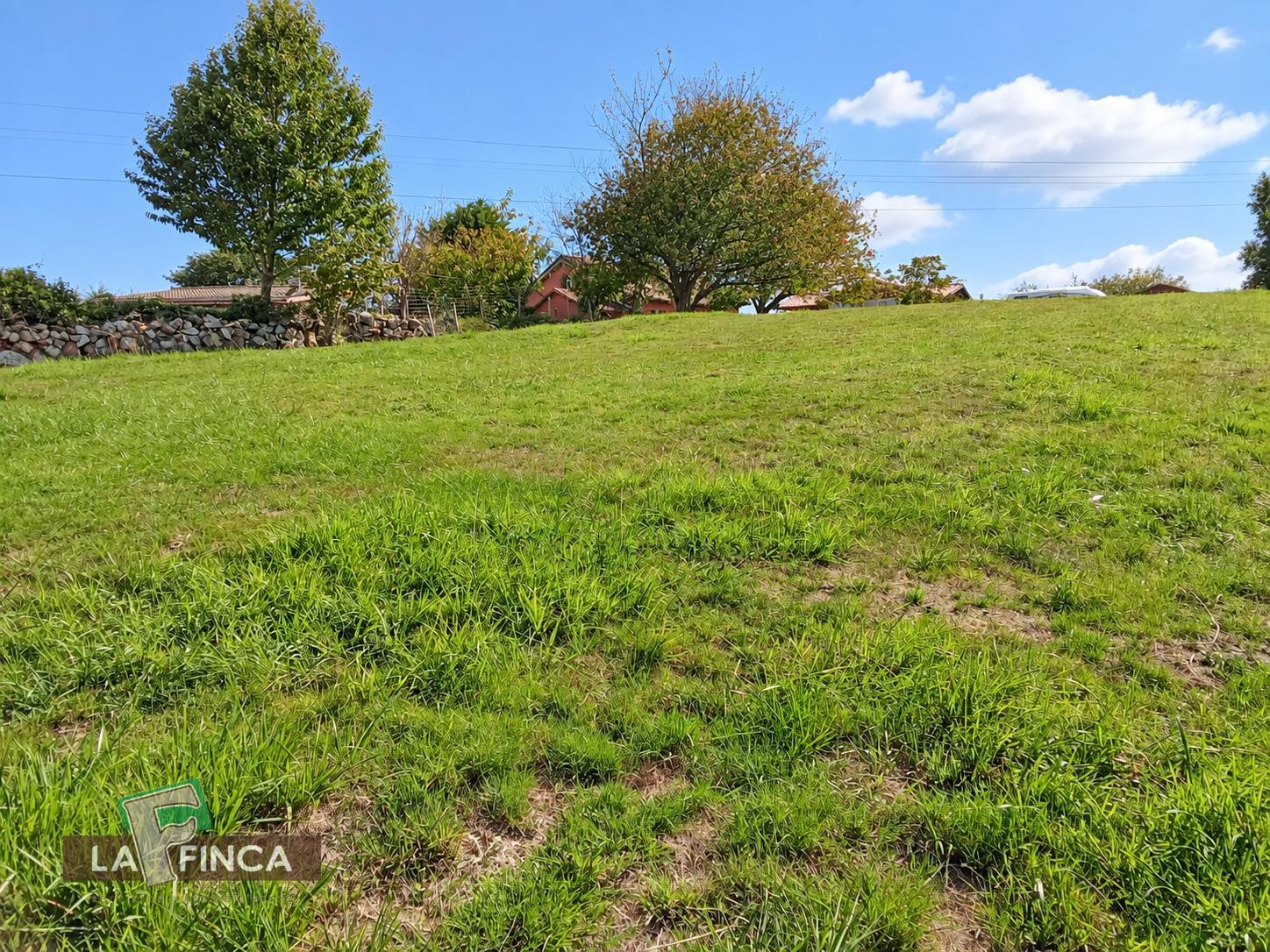 Venta de terreno en Villaviciosa