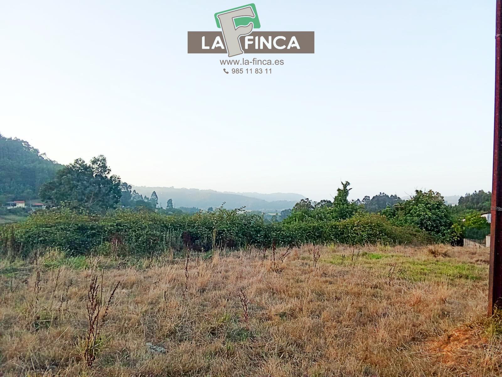 Venta de terreno en Pravia