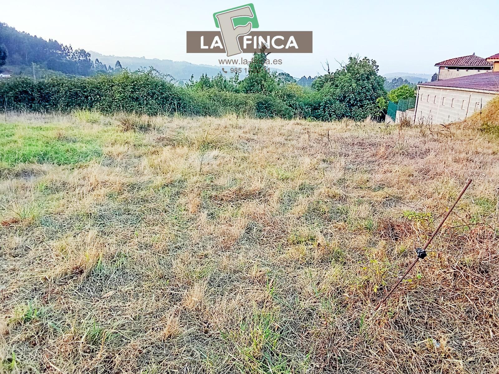 Venta de terreno en Pravia