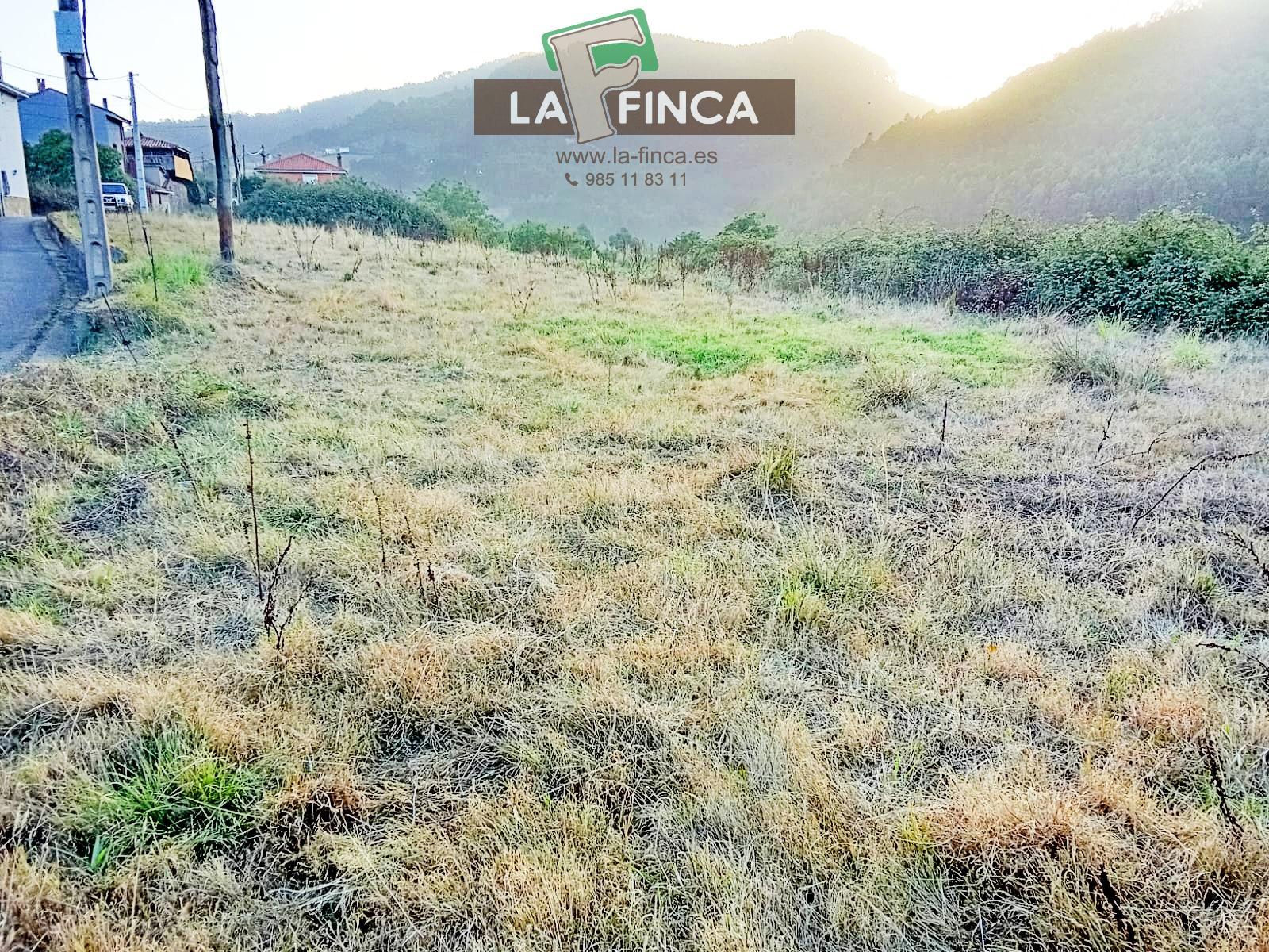 Venta de terreno en Pravia