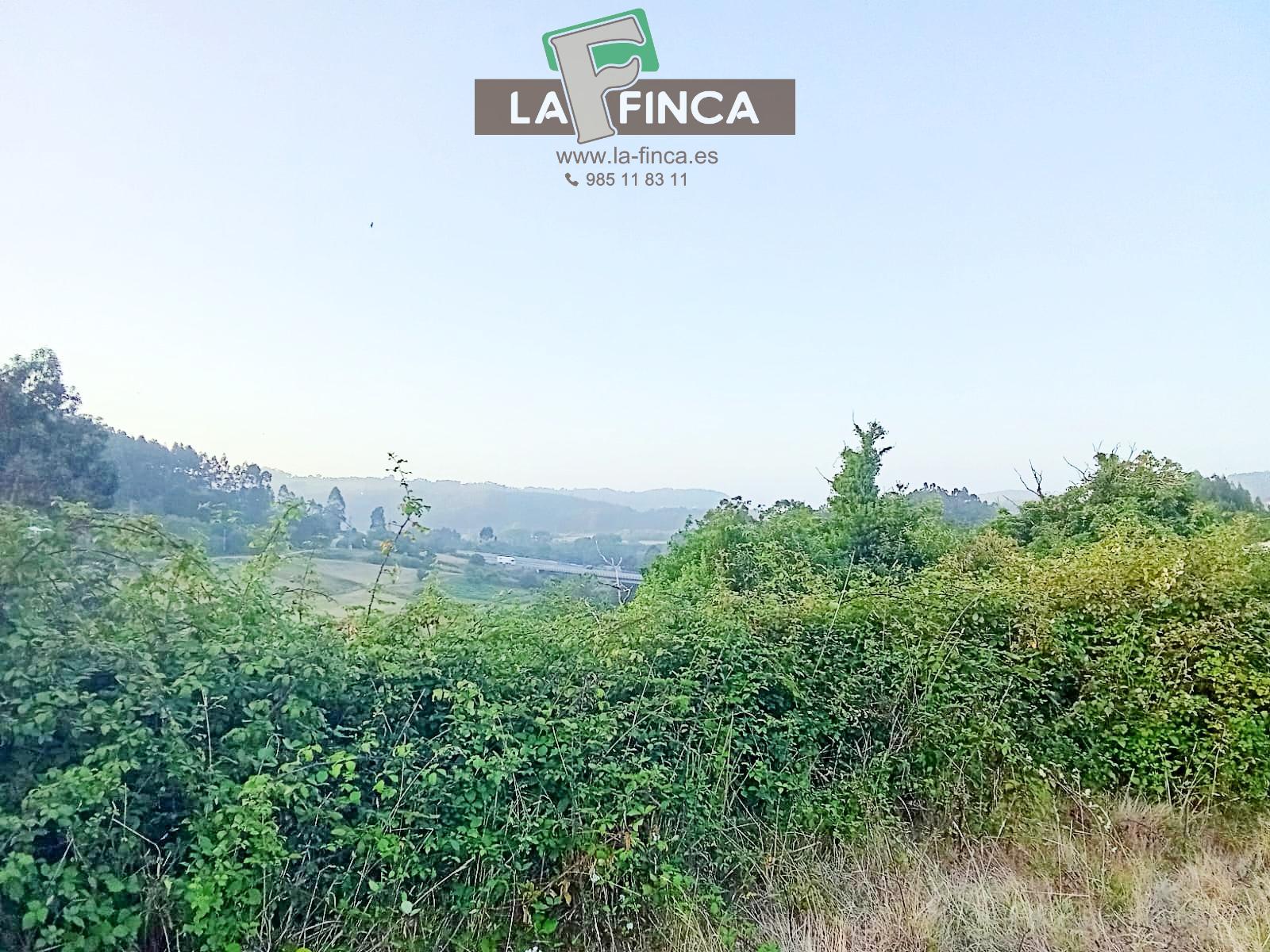 Venta de terreno en Pravia