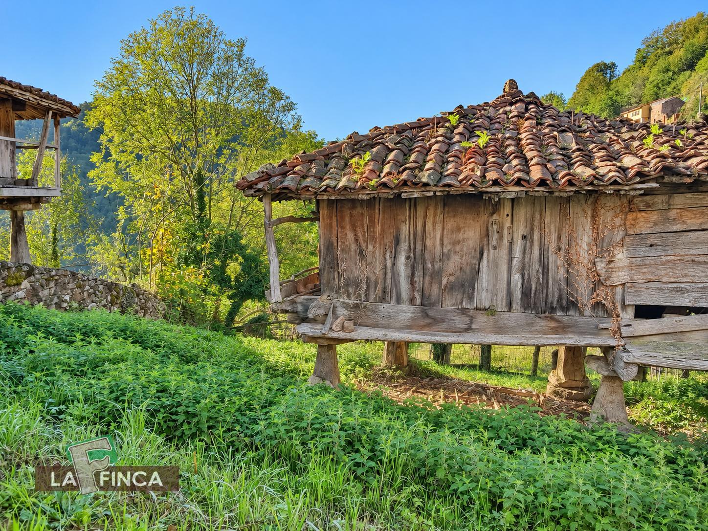 Venta de casa en Belmonte de Miranda
