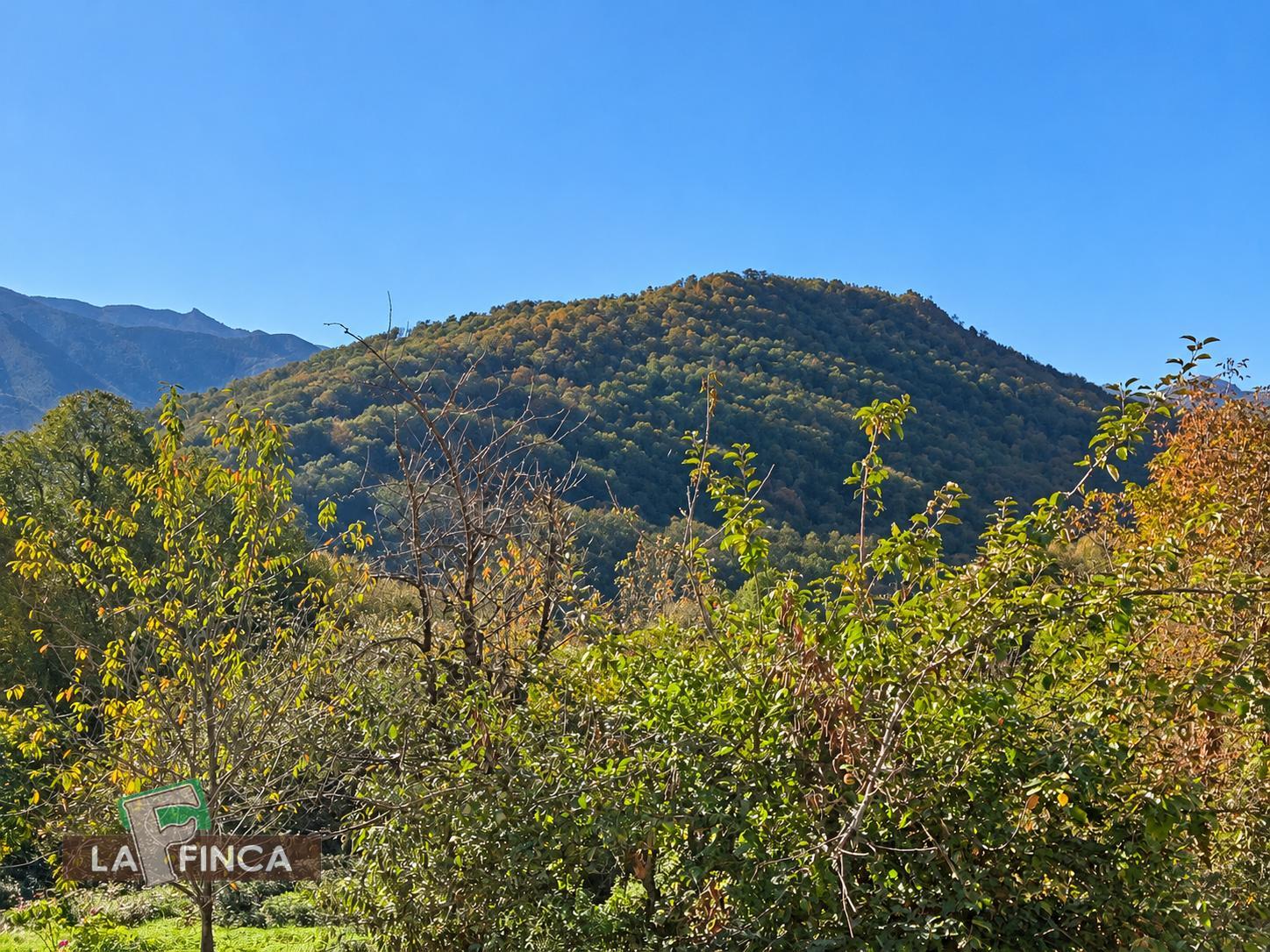 Venta de casa en Belmonte de Miranda