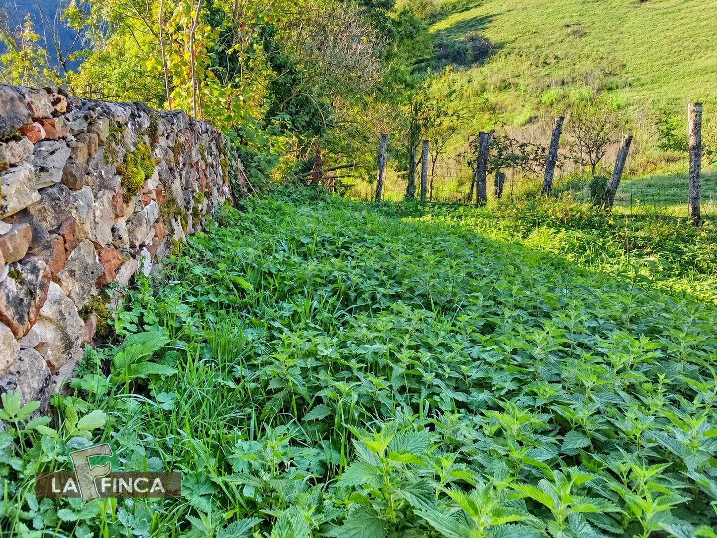 Venta de casa en Belmonte de Miranda