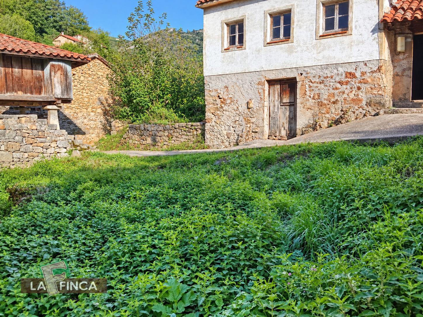 Venta de casa en Belmonte de Miranda
