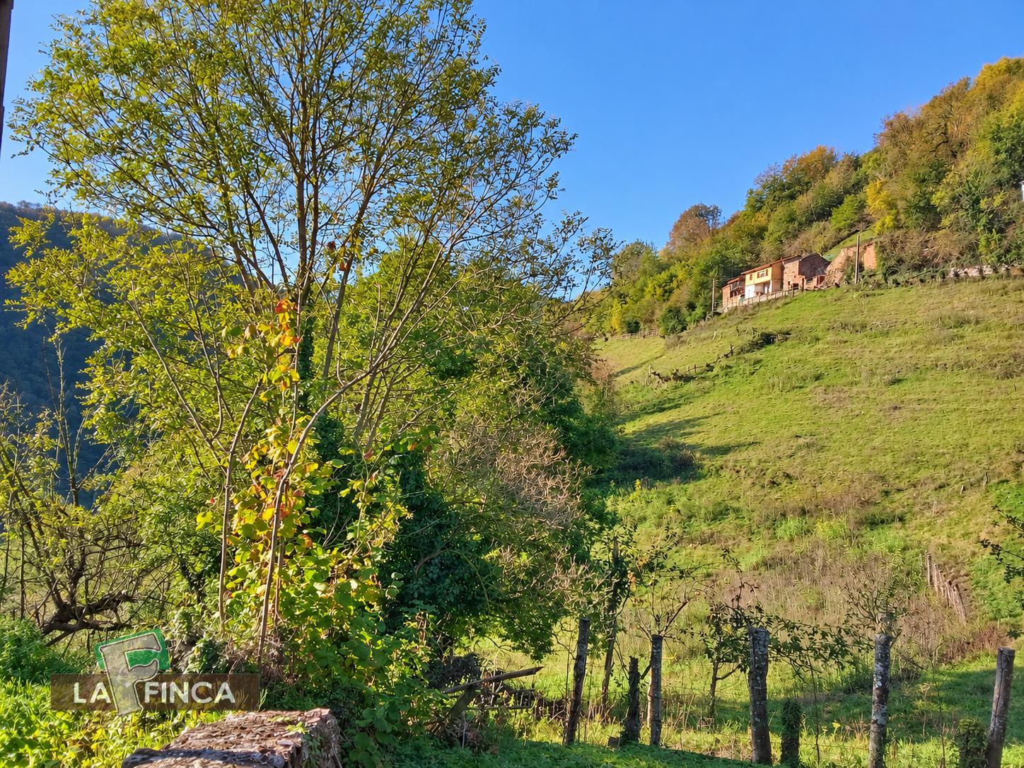 Venta de casa en Belmonte de Miranda