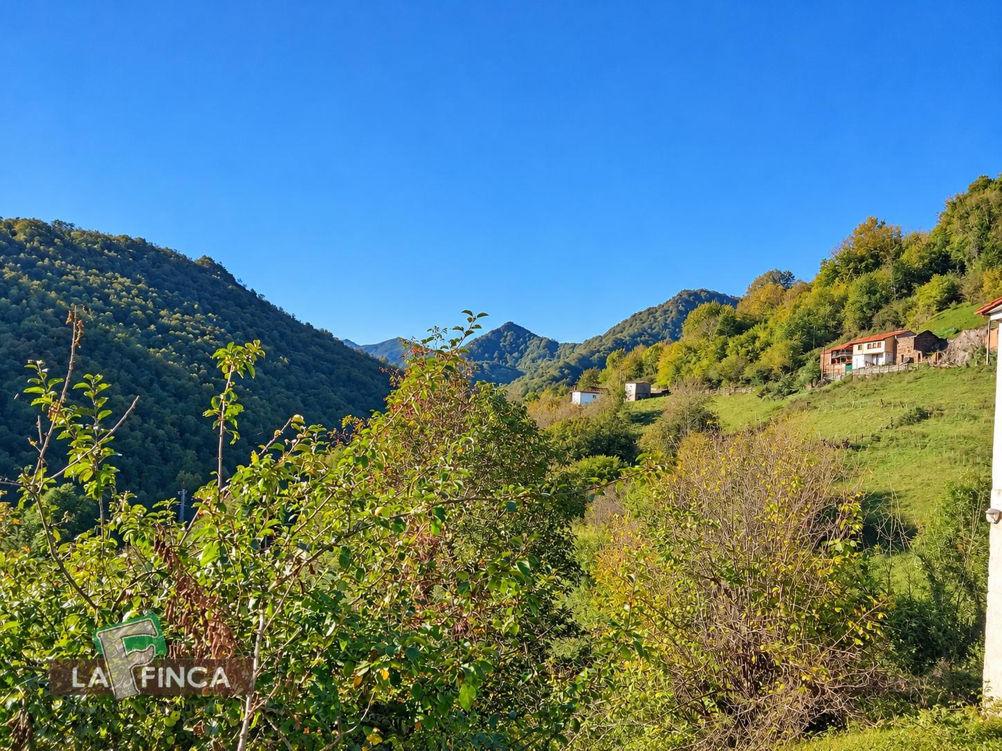 Venta de casa en Belmonte de Miranda