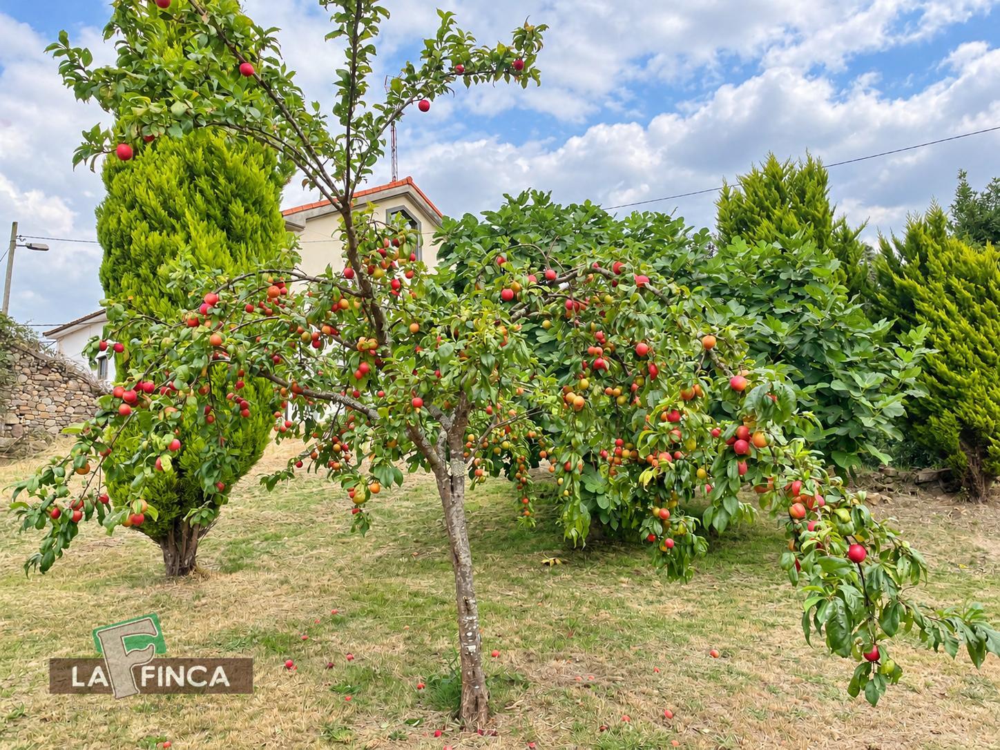 Venta de terreno en Castrillón
