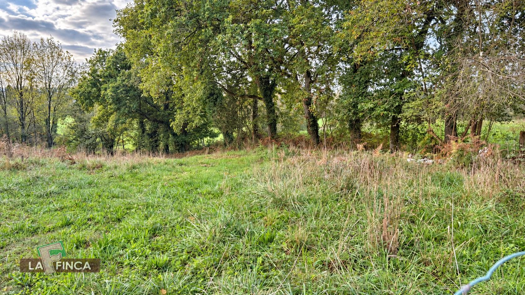 Venta de terreno en Siero