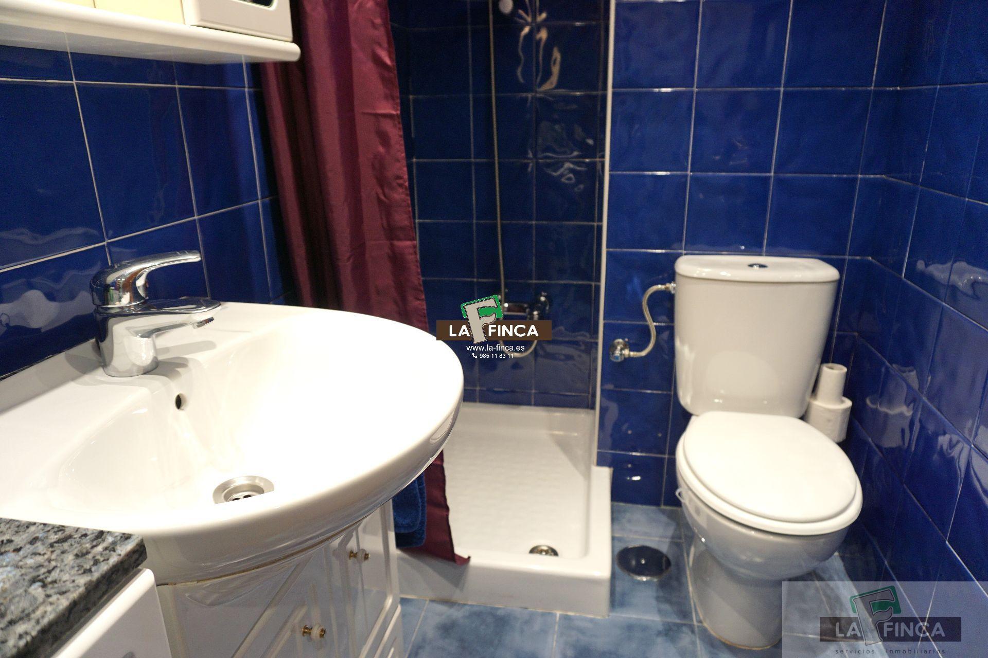 For rent of study in Oviedo