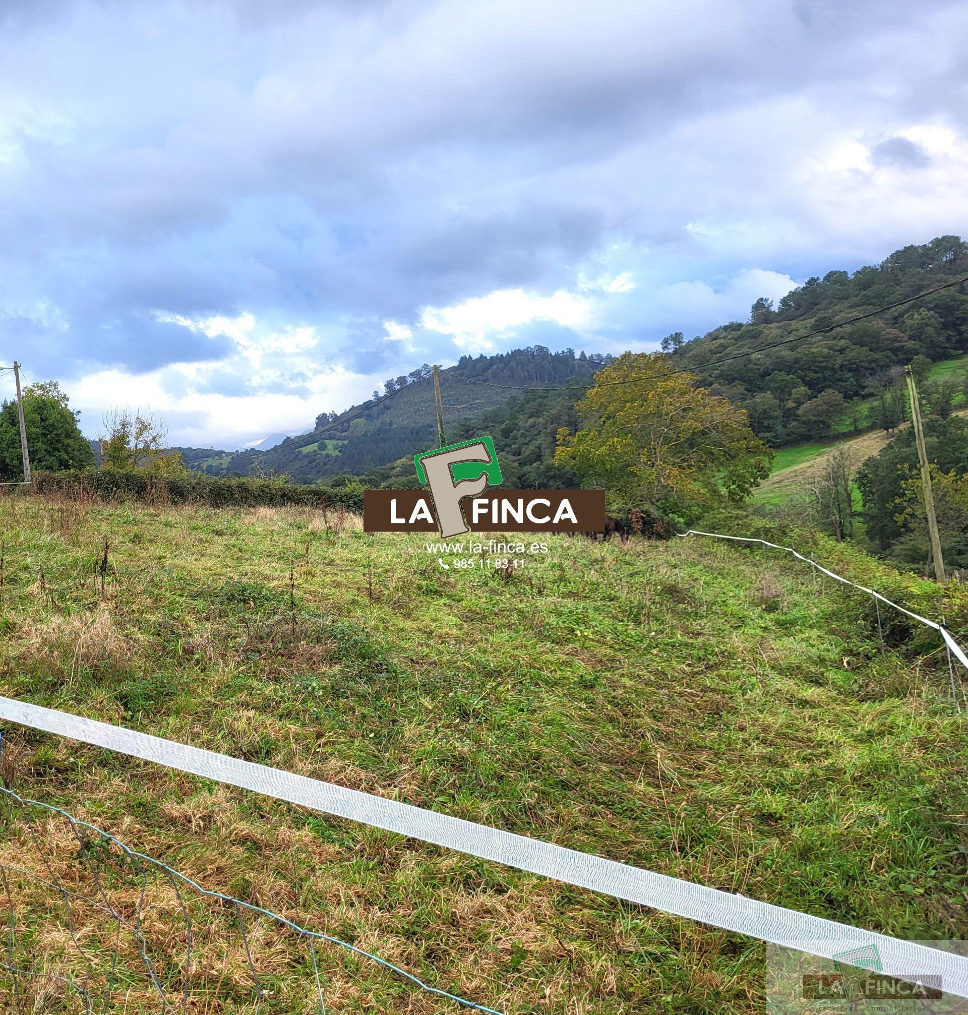 For sale of land in Siero