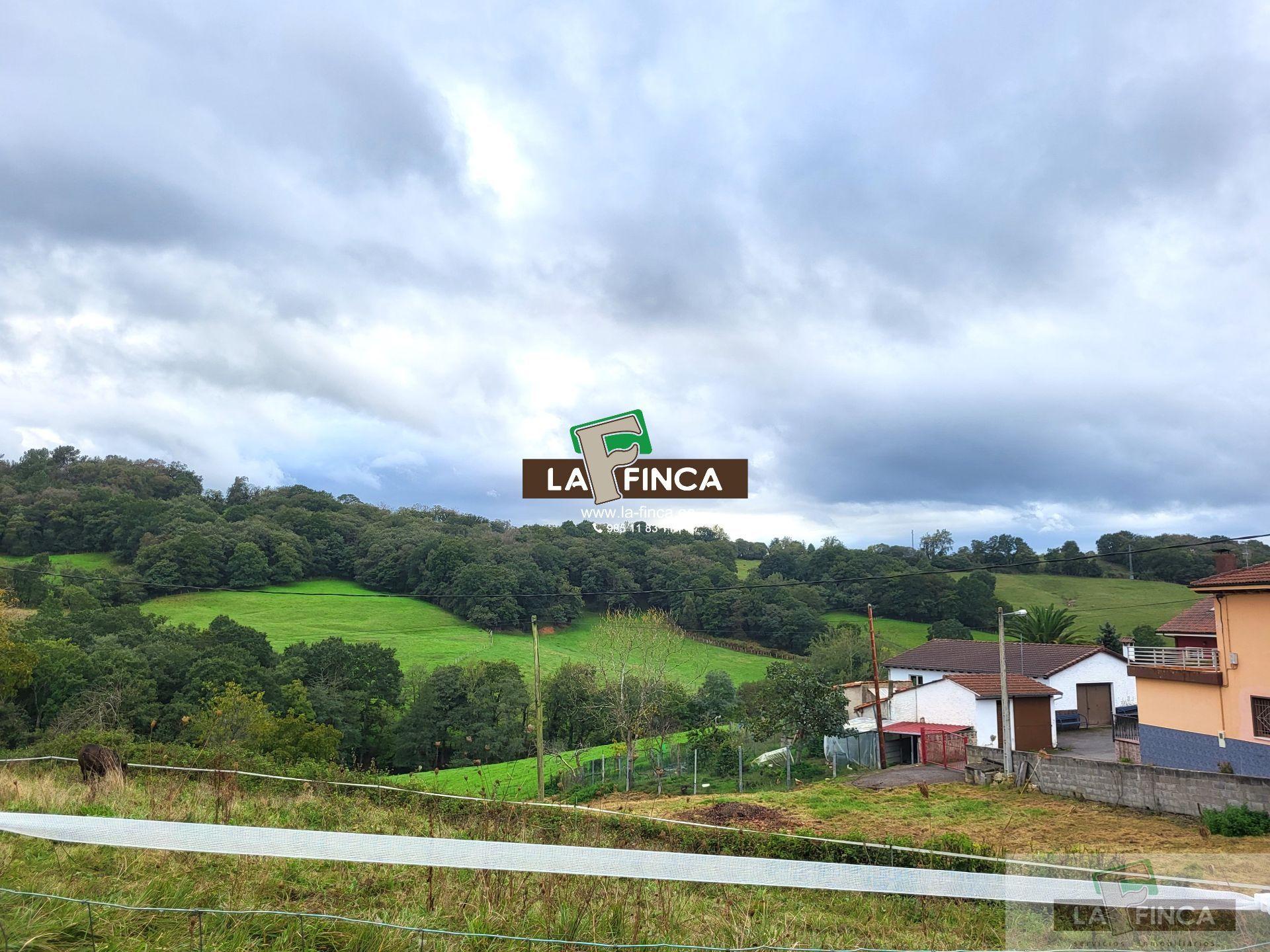 For sale of land in Siero