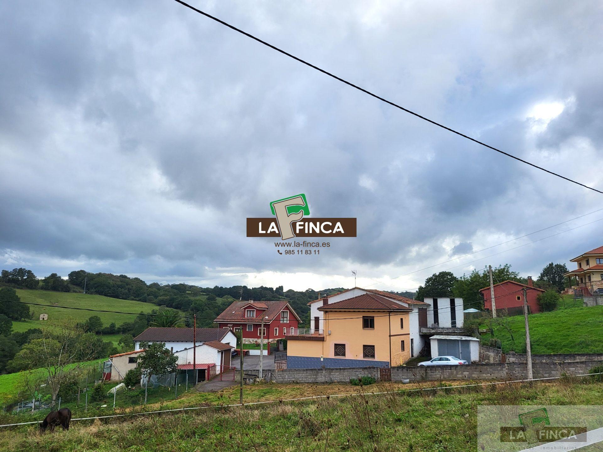 For sale of land in Siero