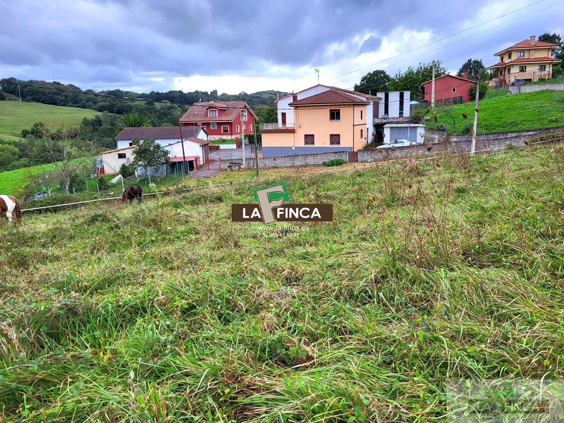 For sale of land in Siero