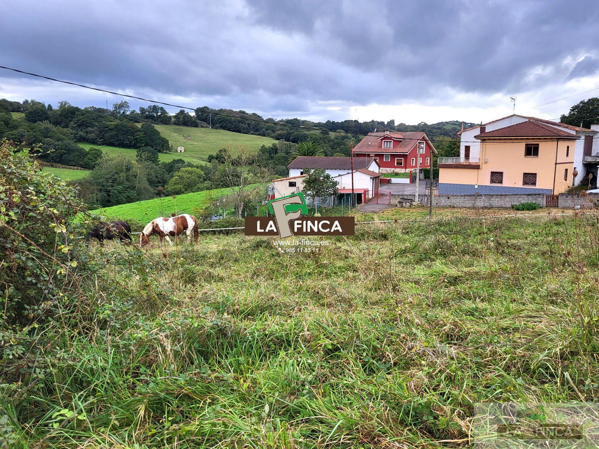 For sale of land in Siero