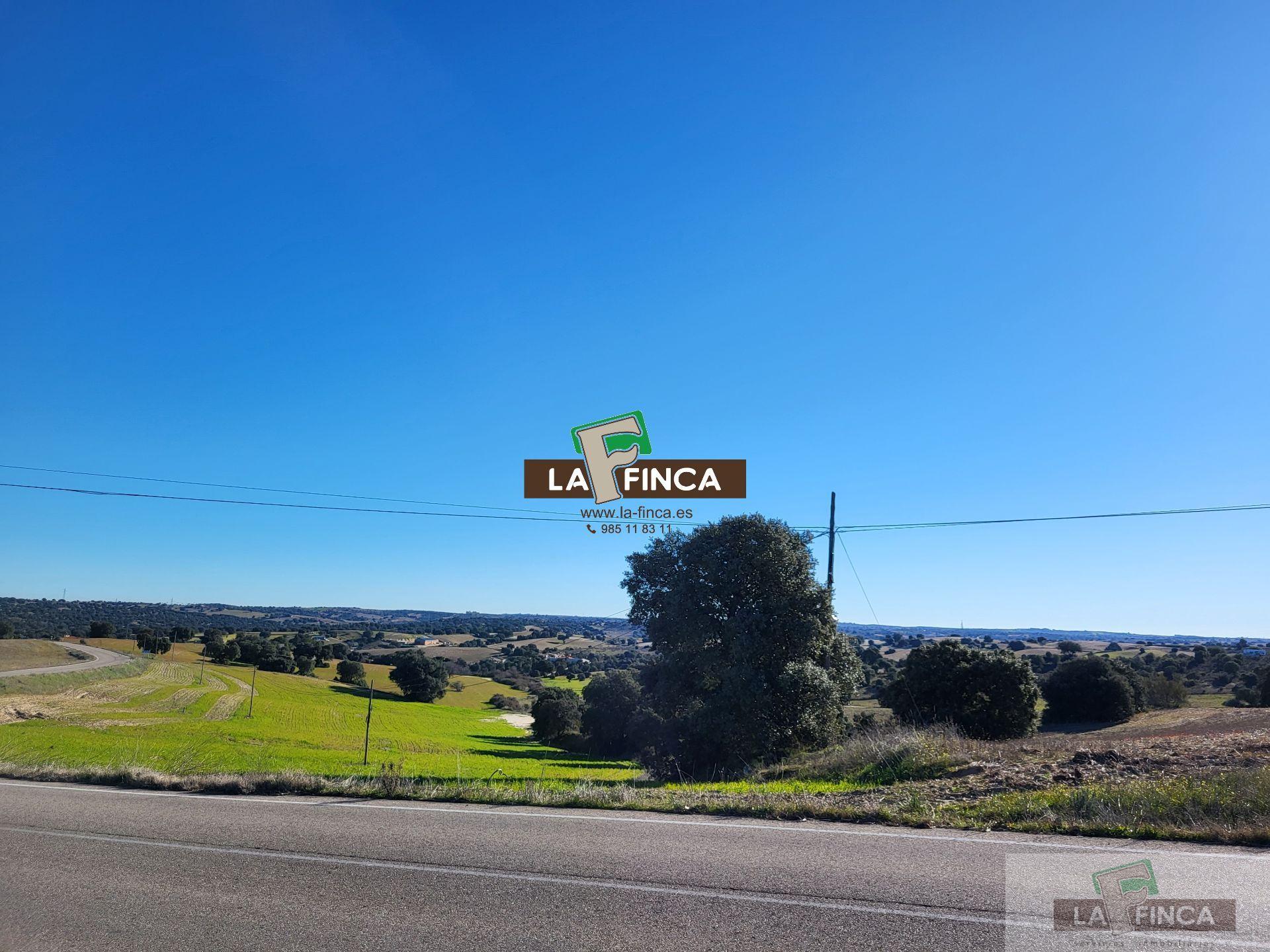 For sale of villa in Toledo