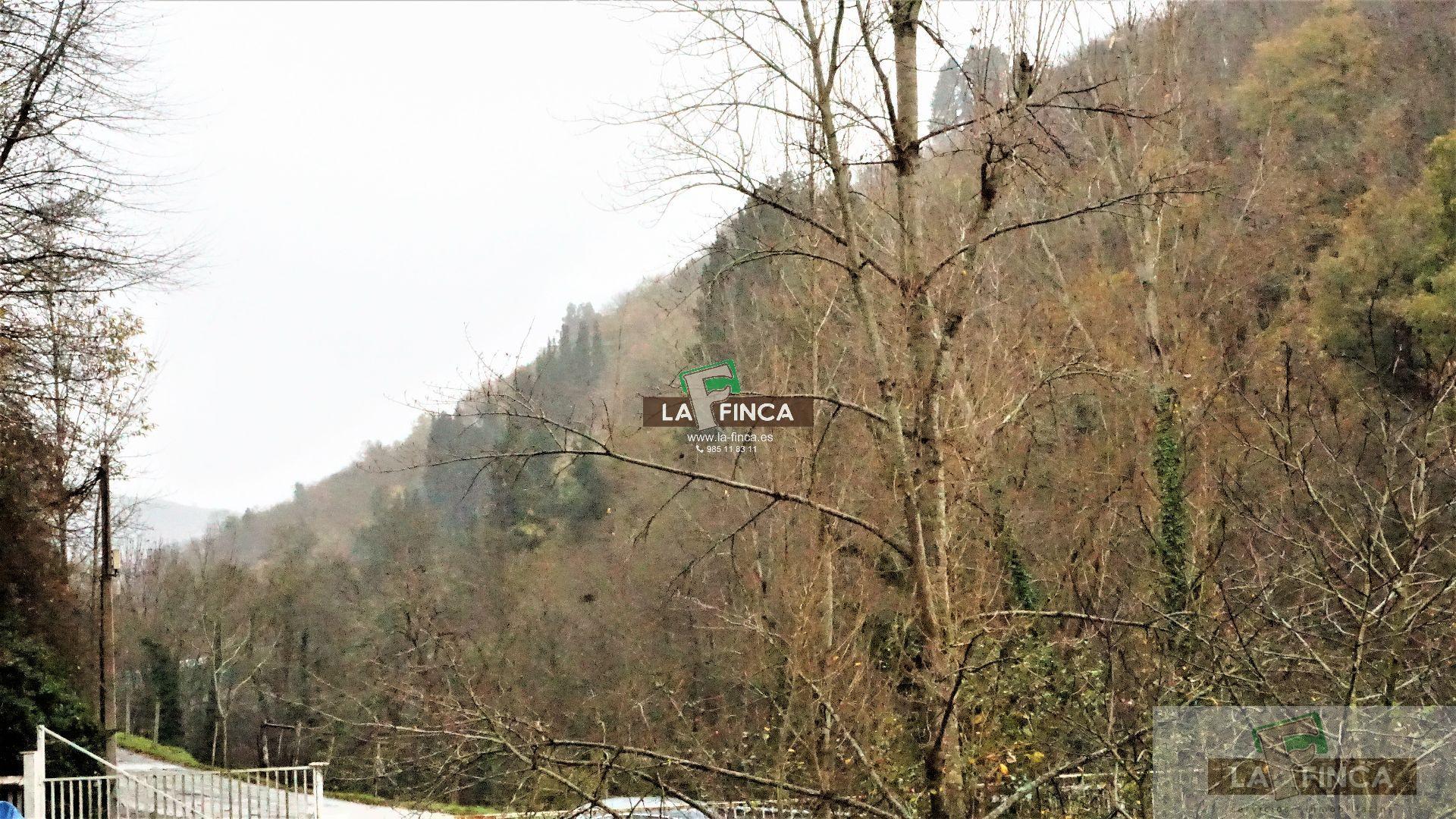 For sale of villa in Cangas del Narcea