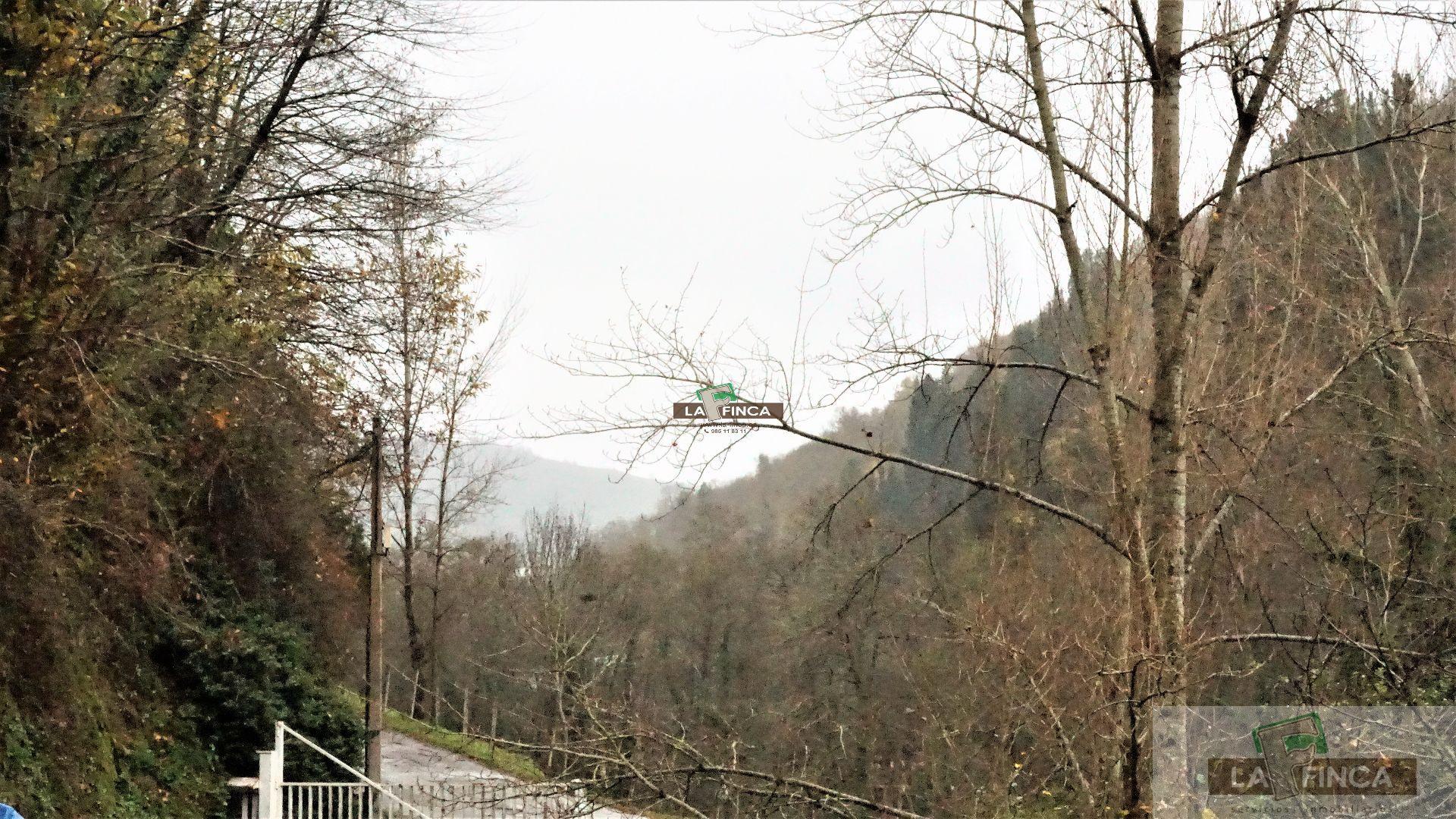 For sale of villa in Cangas del Narcea