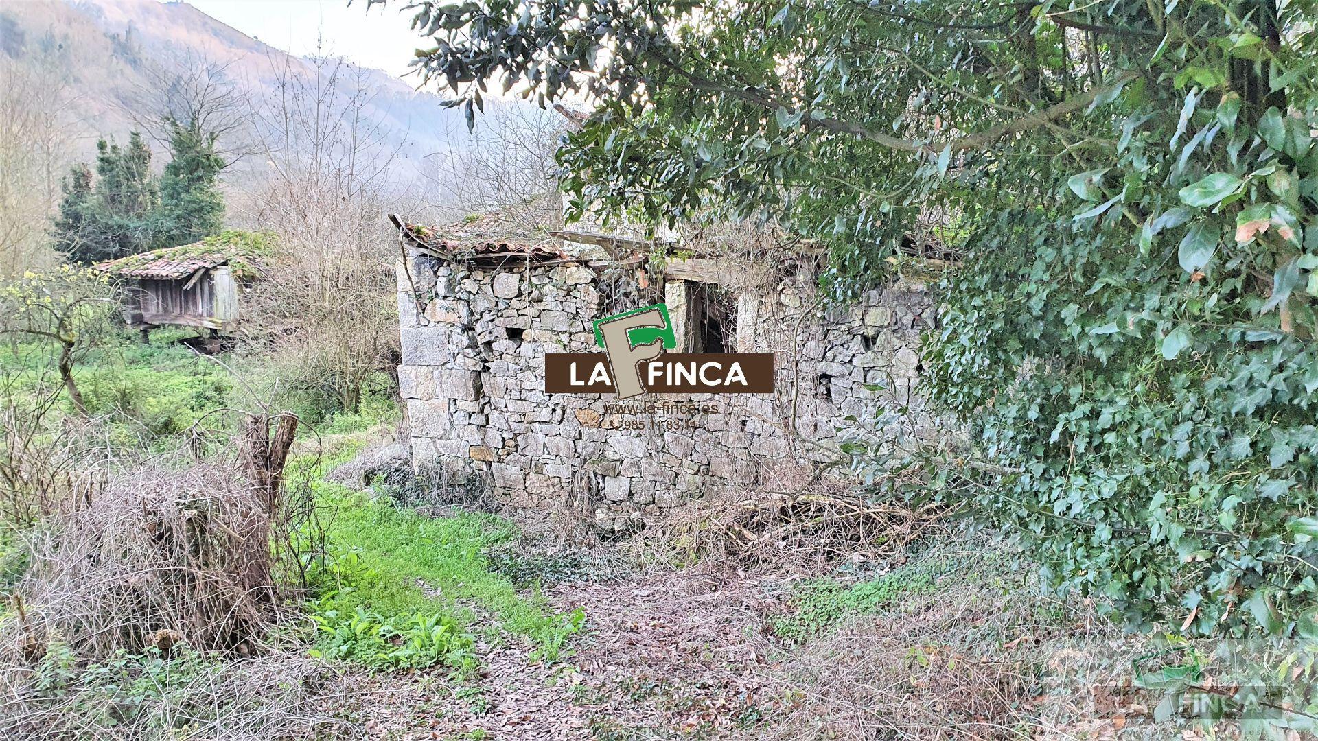 Venta de casa en Oviedo