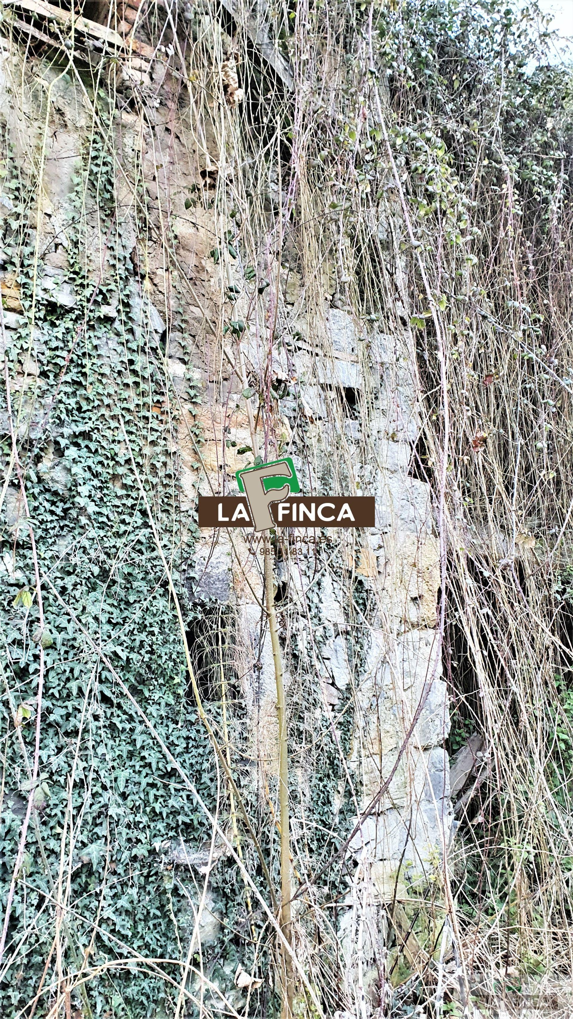 For sale of house in Oviedo