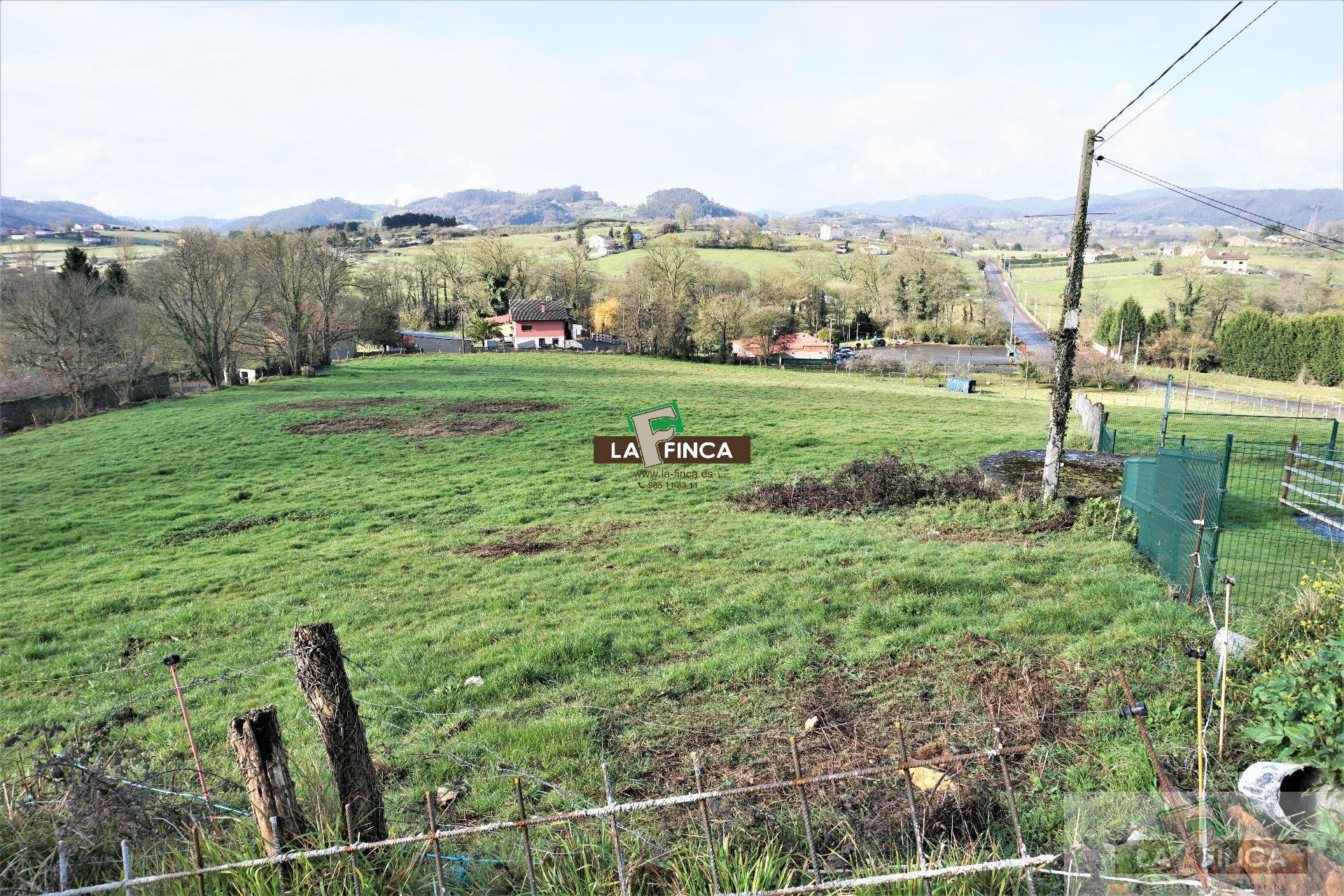 For sale of land in Llanera