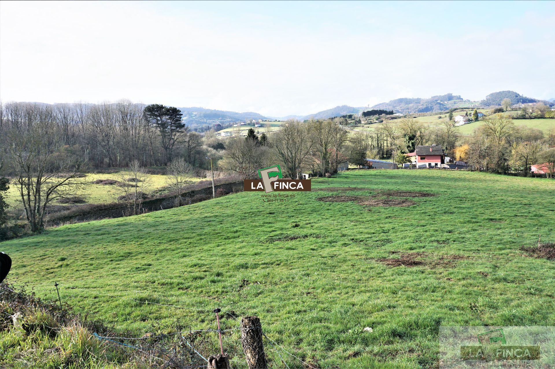 For sale of land in Llanera