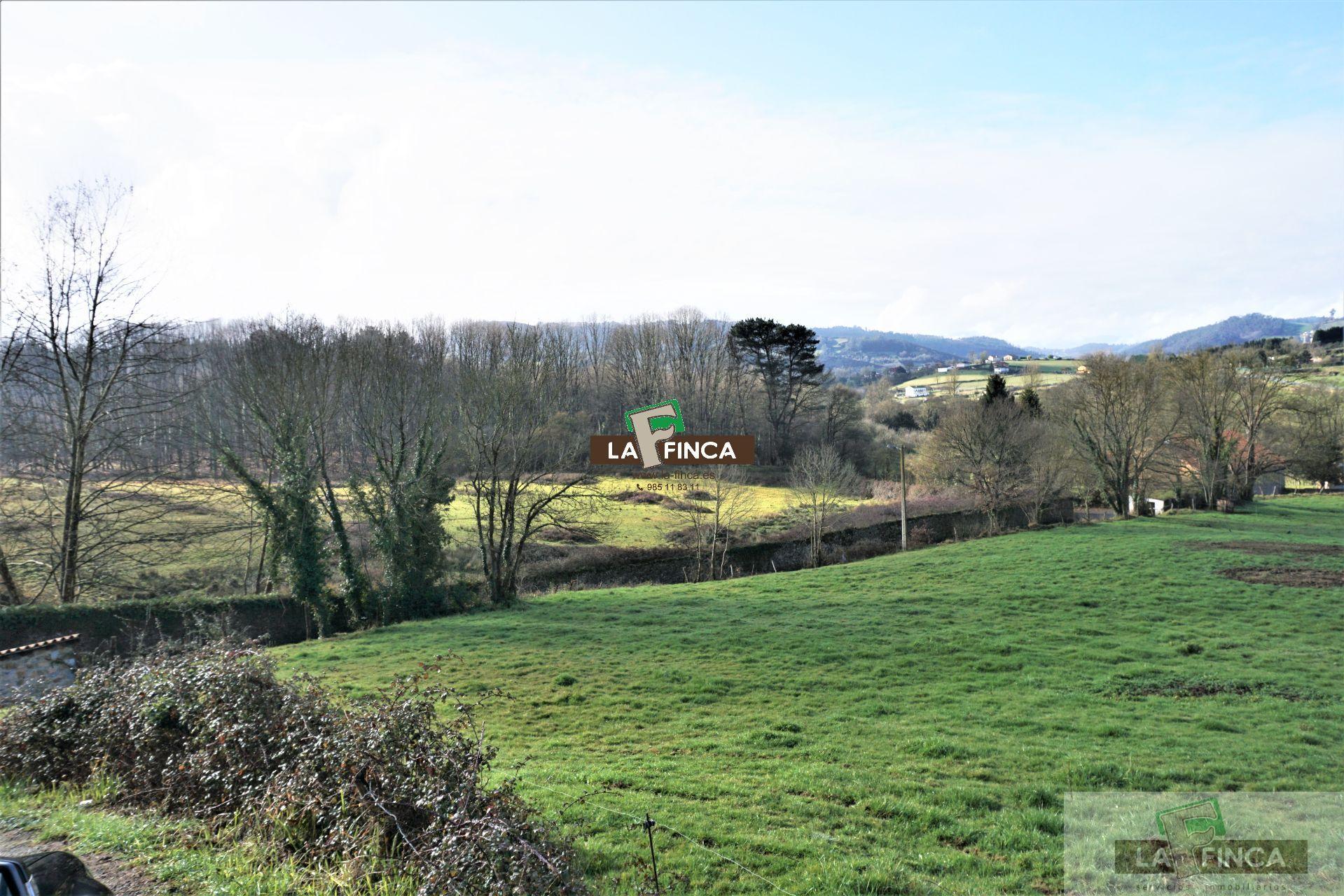 For sale of land in Llanera
