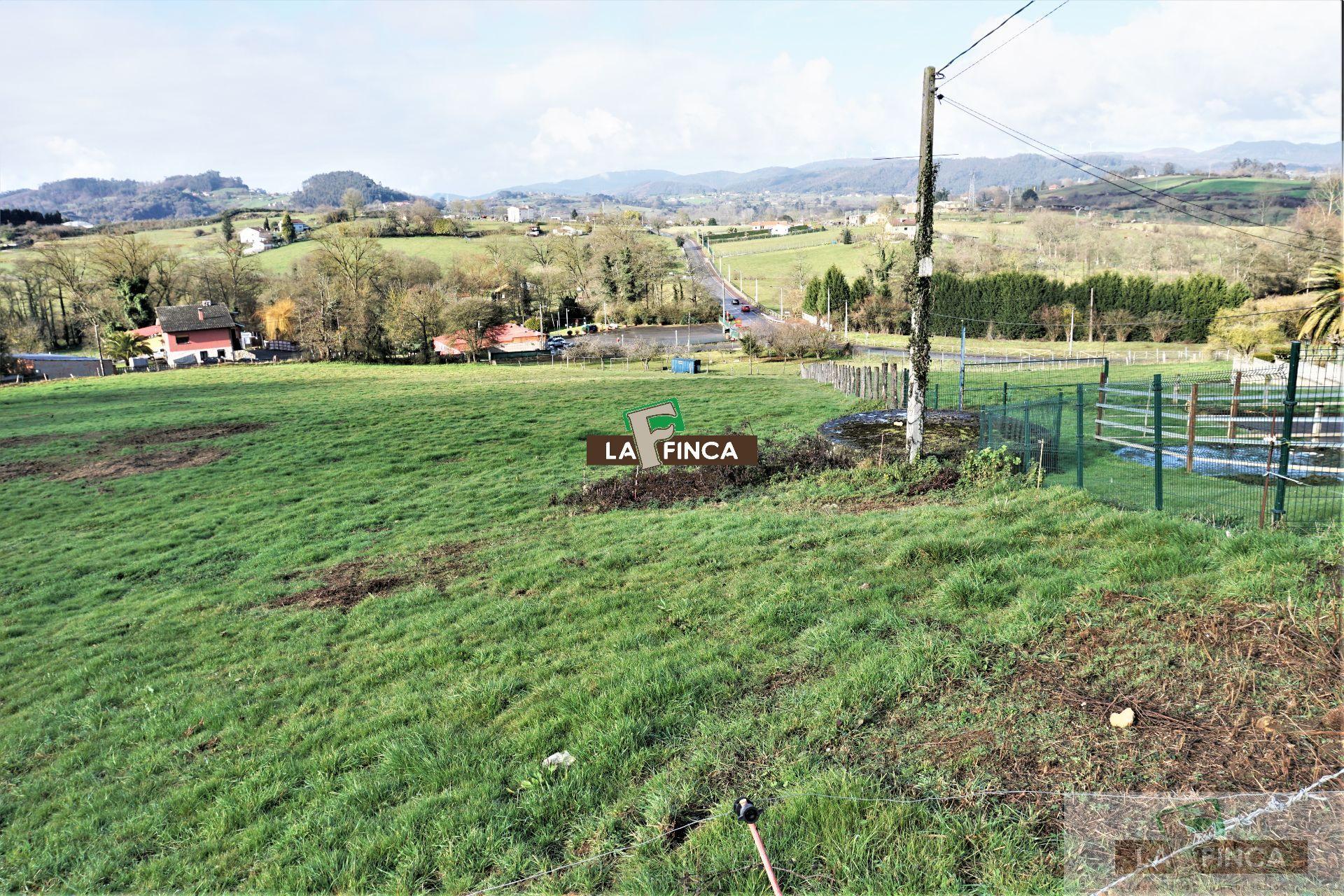 For sale of land in Llanera
