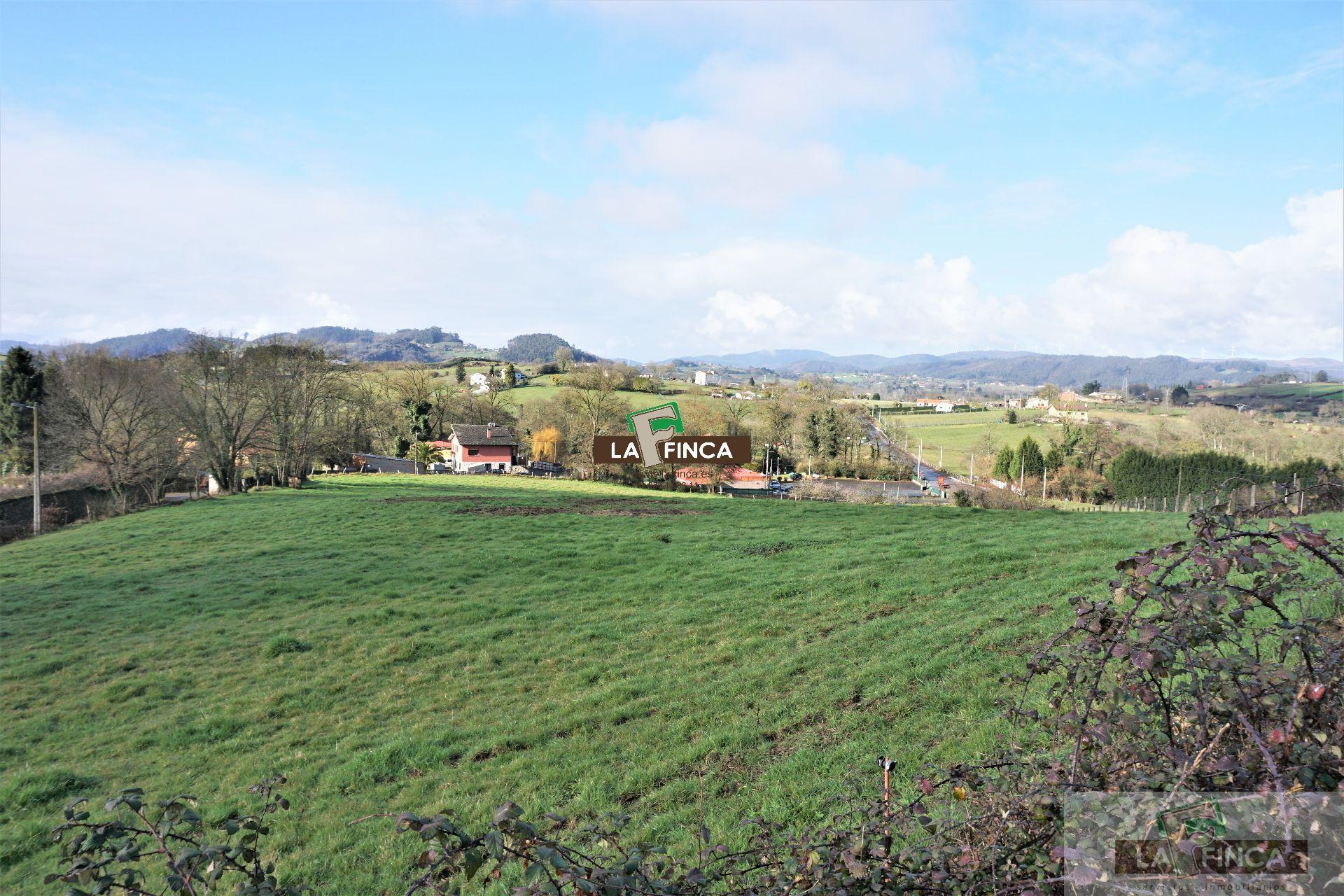 For sale of land in Llanera