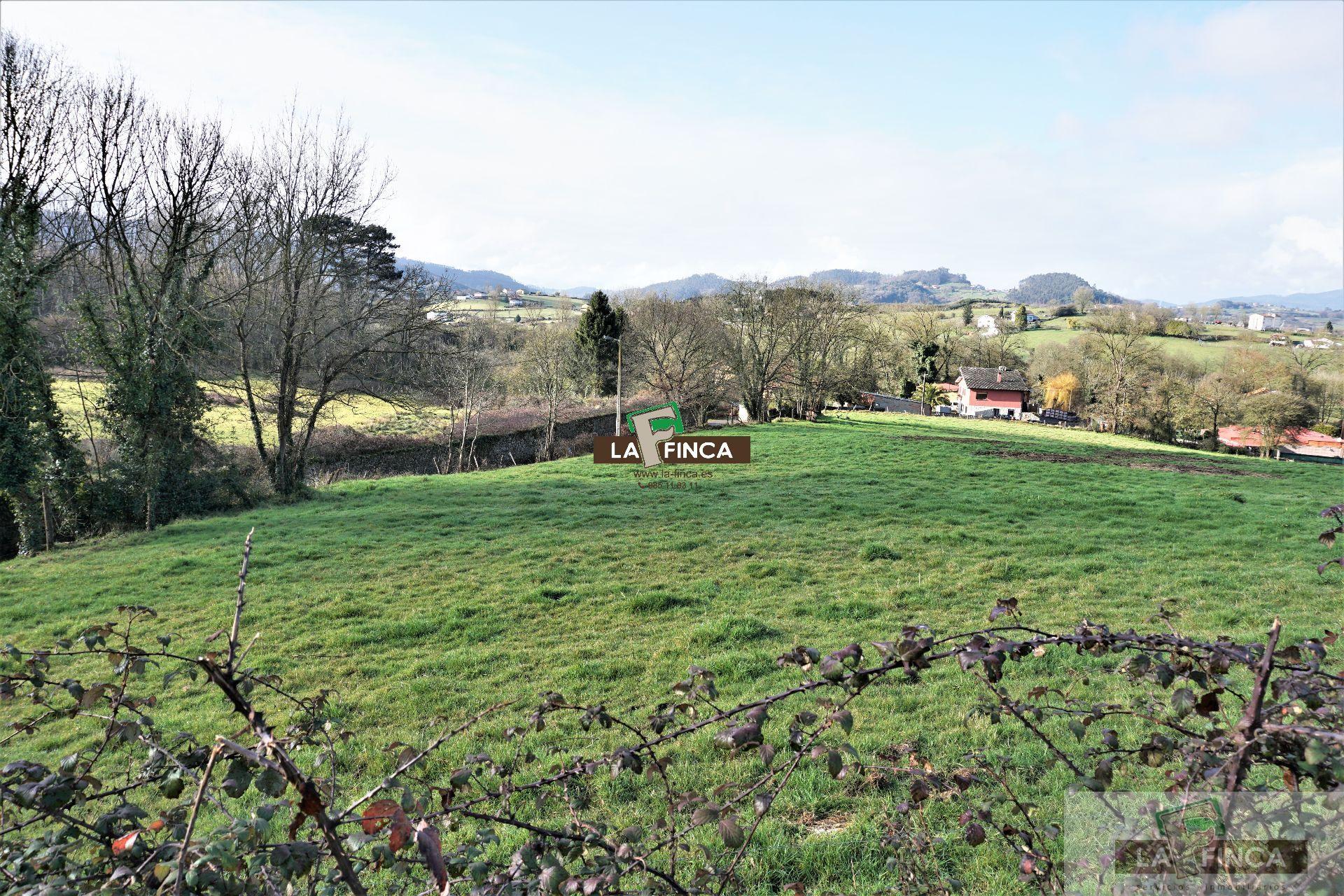 For sale of land in Llanera