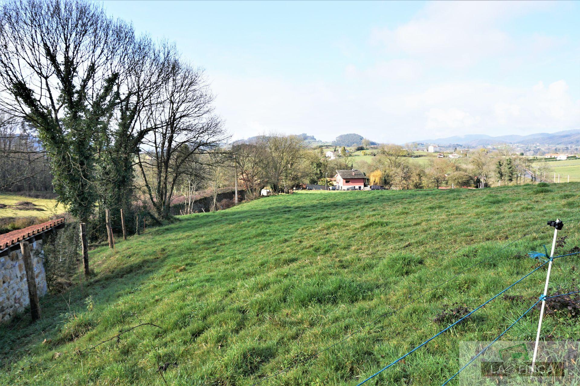 For sale of land in Llanera