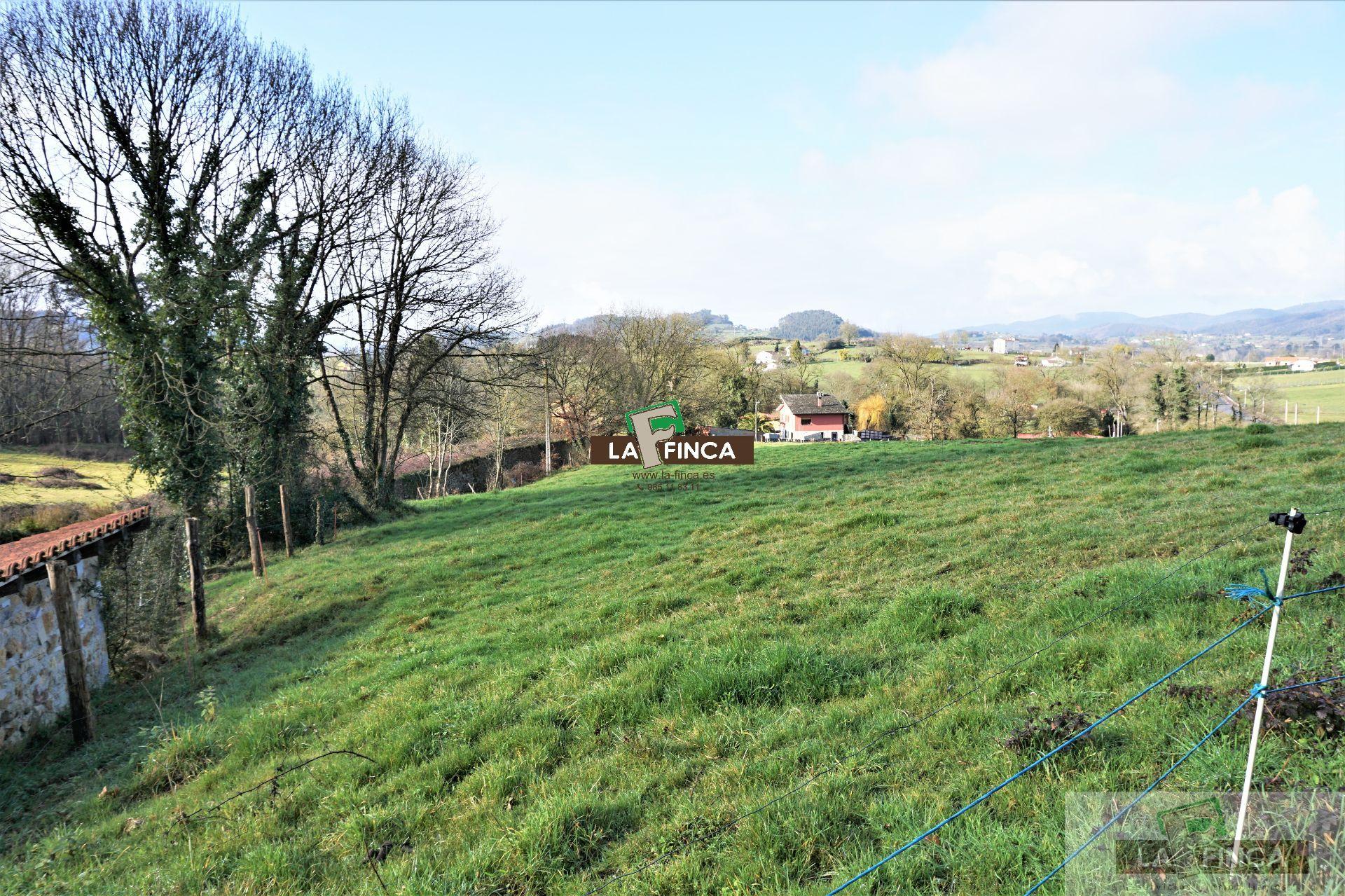 For sale of land in Llanera