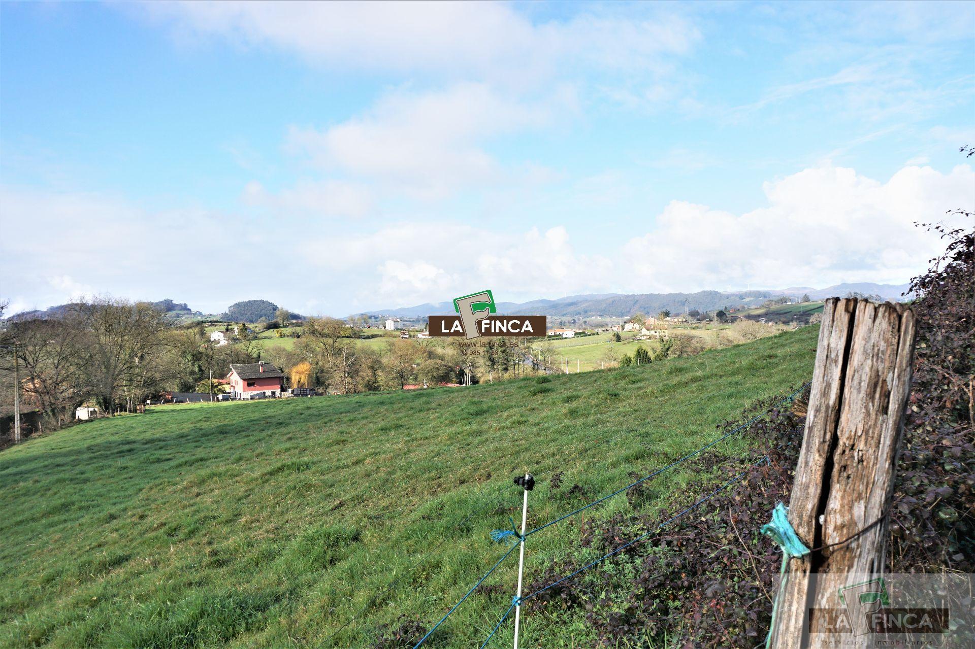 For sale of land in Llanera