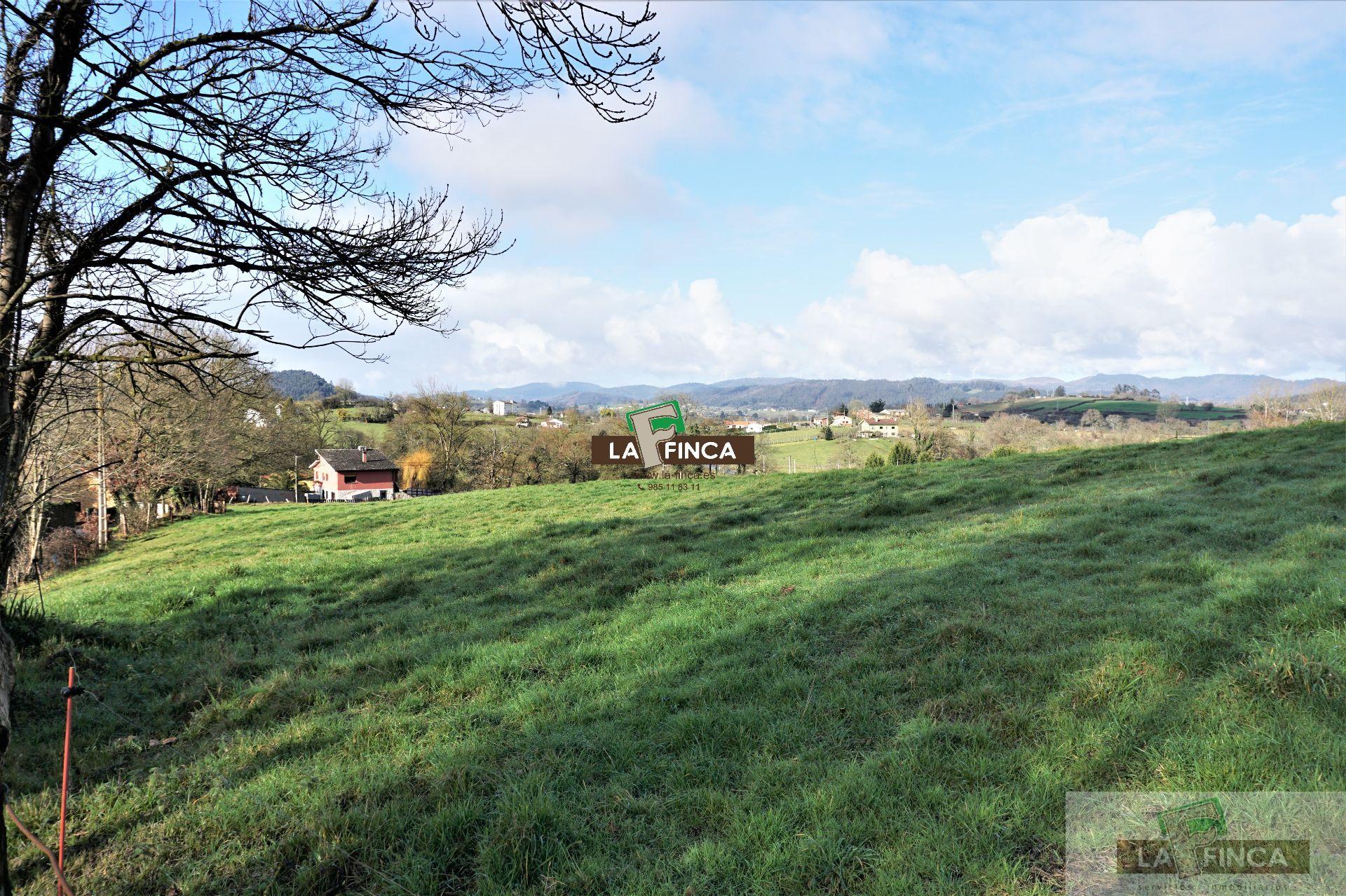 For sale of land in Llanera