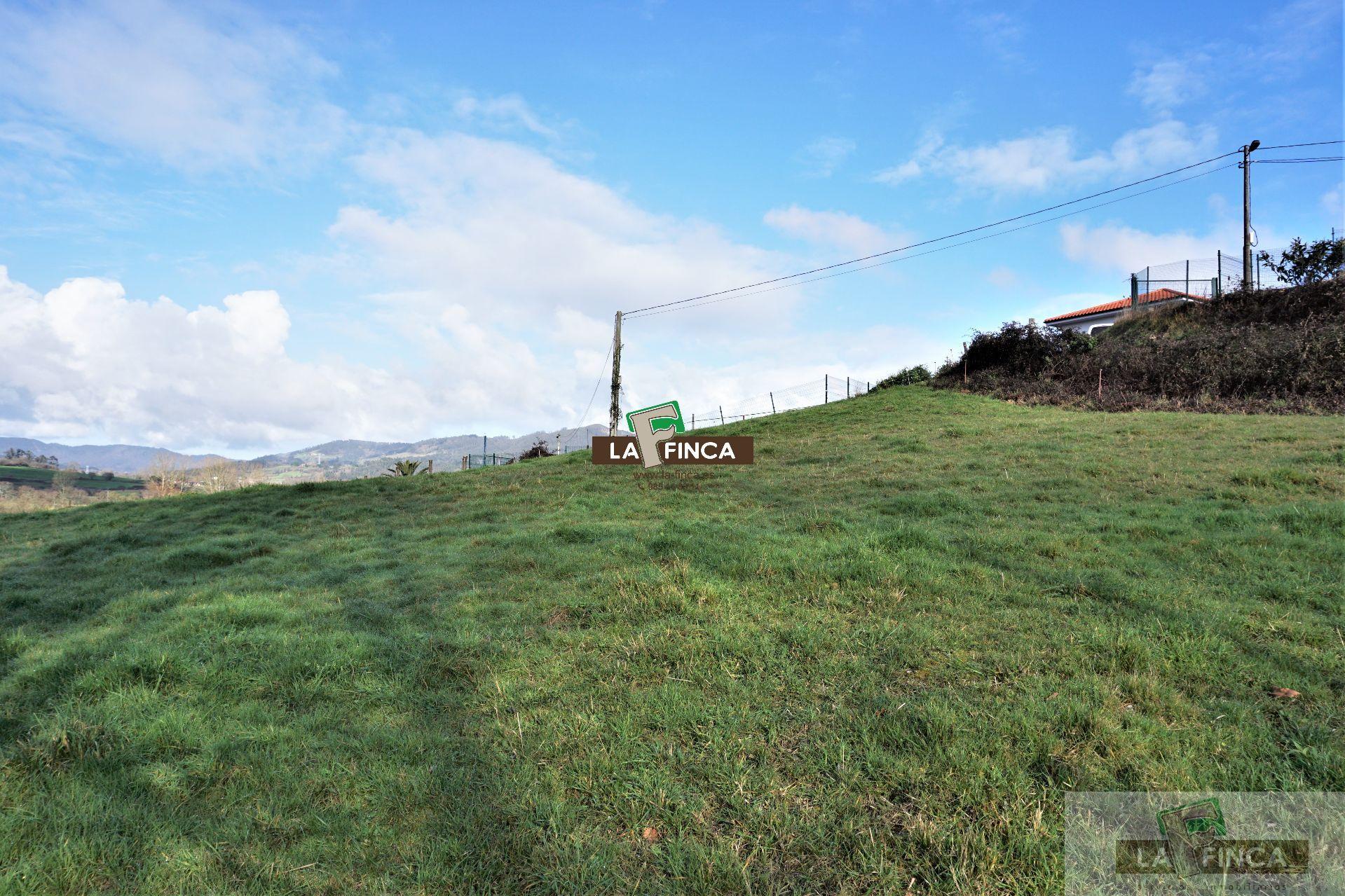 For sale of land in Llanera