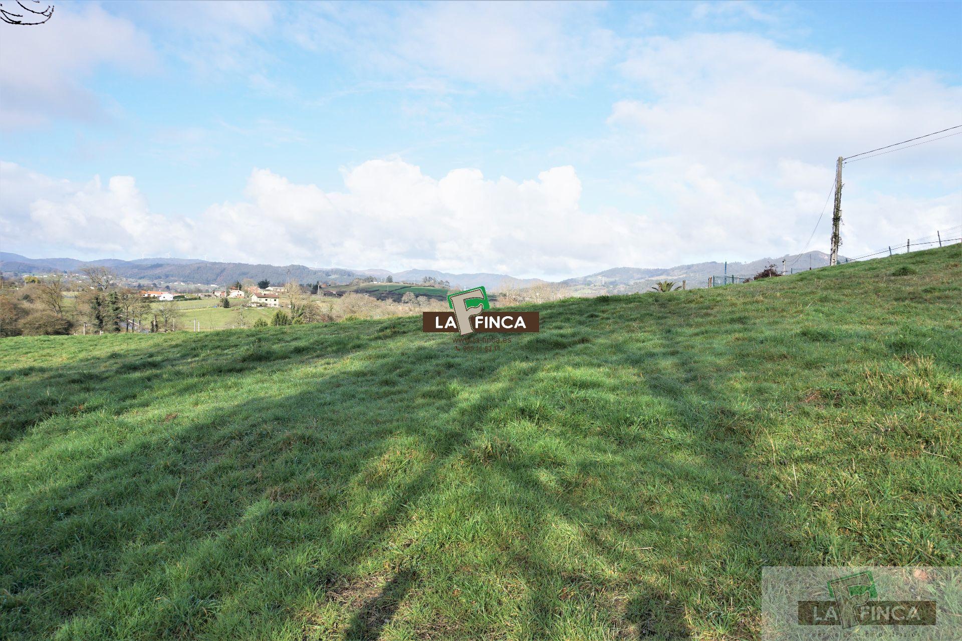 For sale of land in Llanera