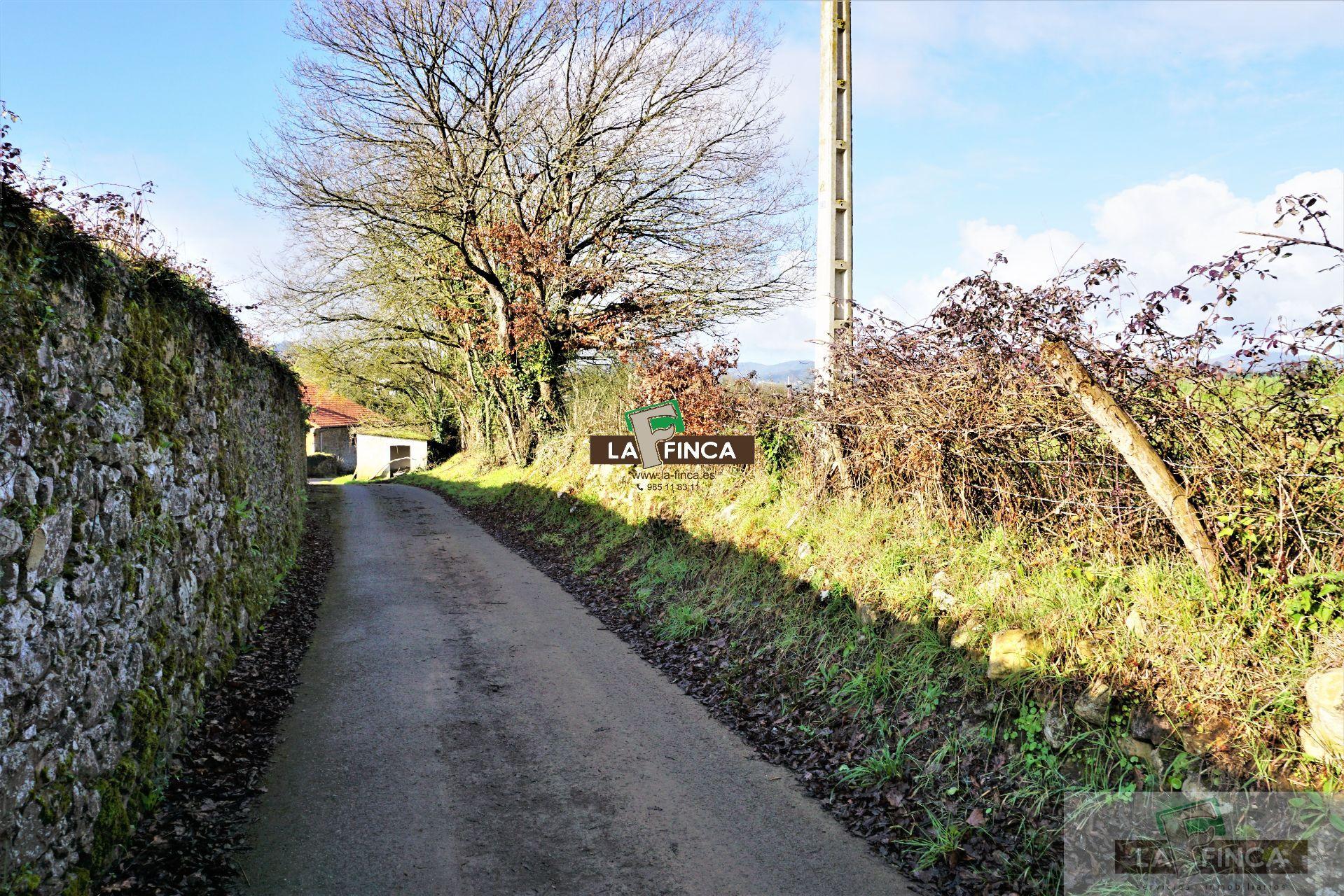 For sale of land in Llanera
