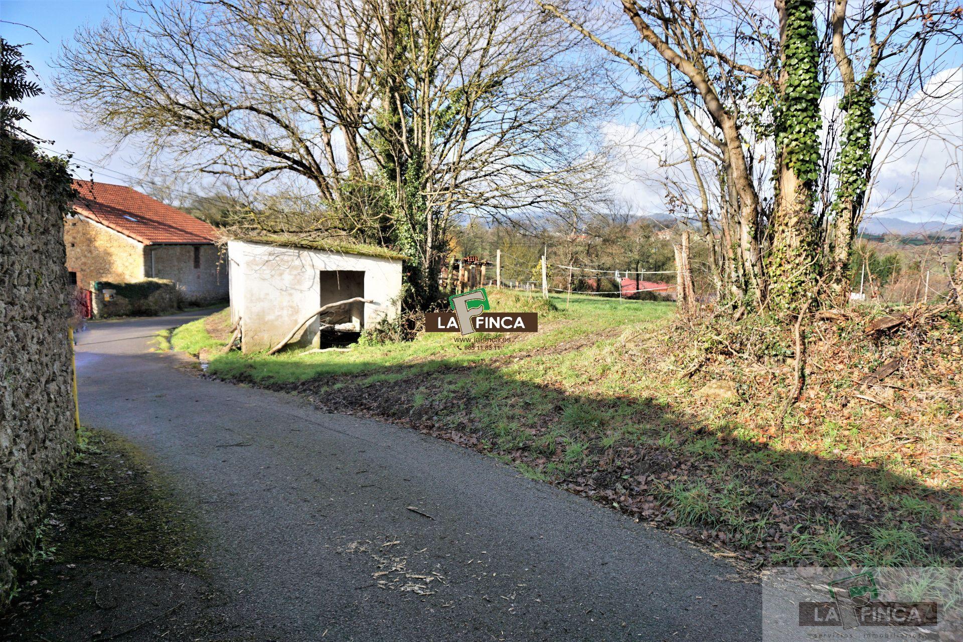 For sale of land in Llanera