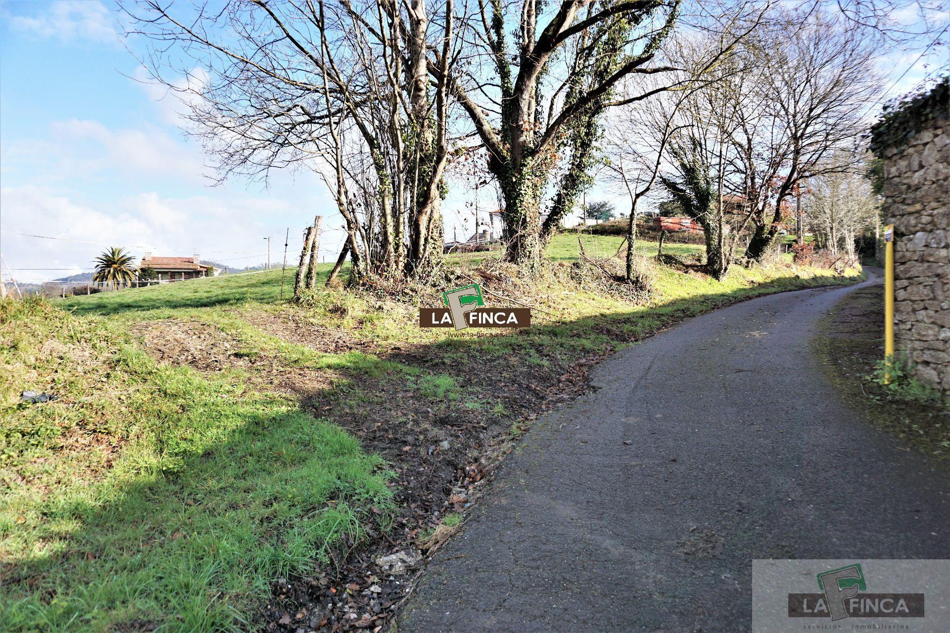 For sale of land in Llanera