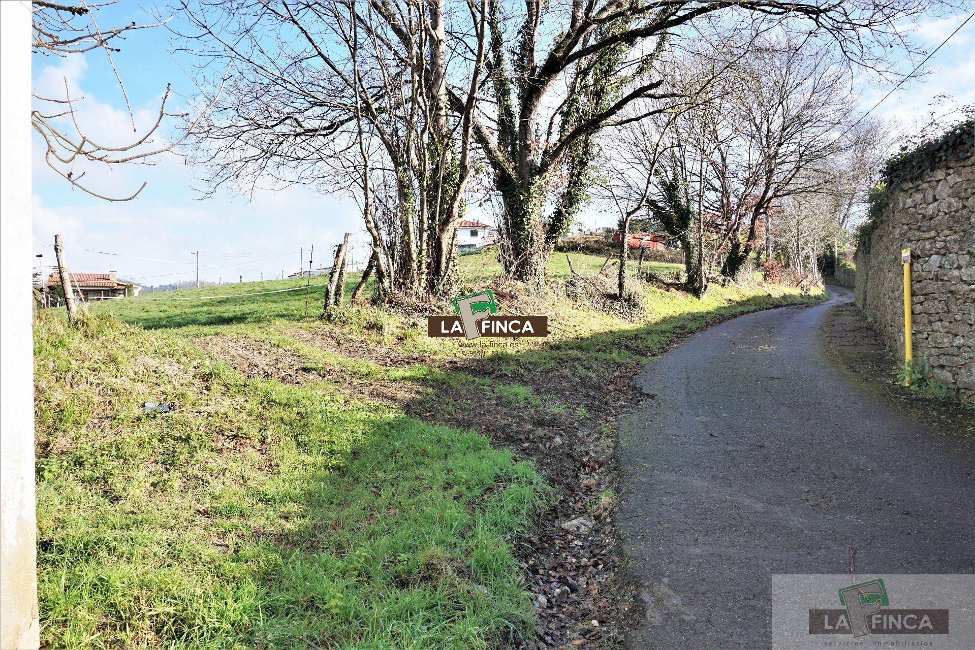 For sale of land in Llanera