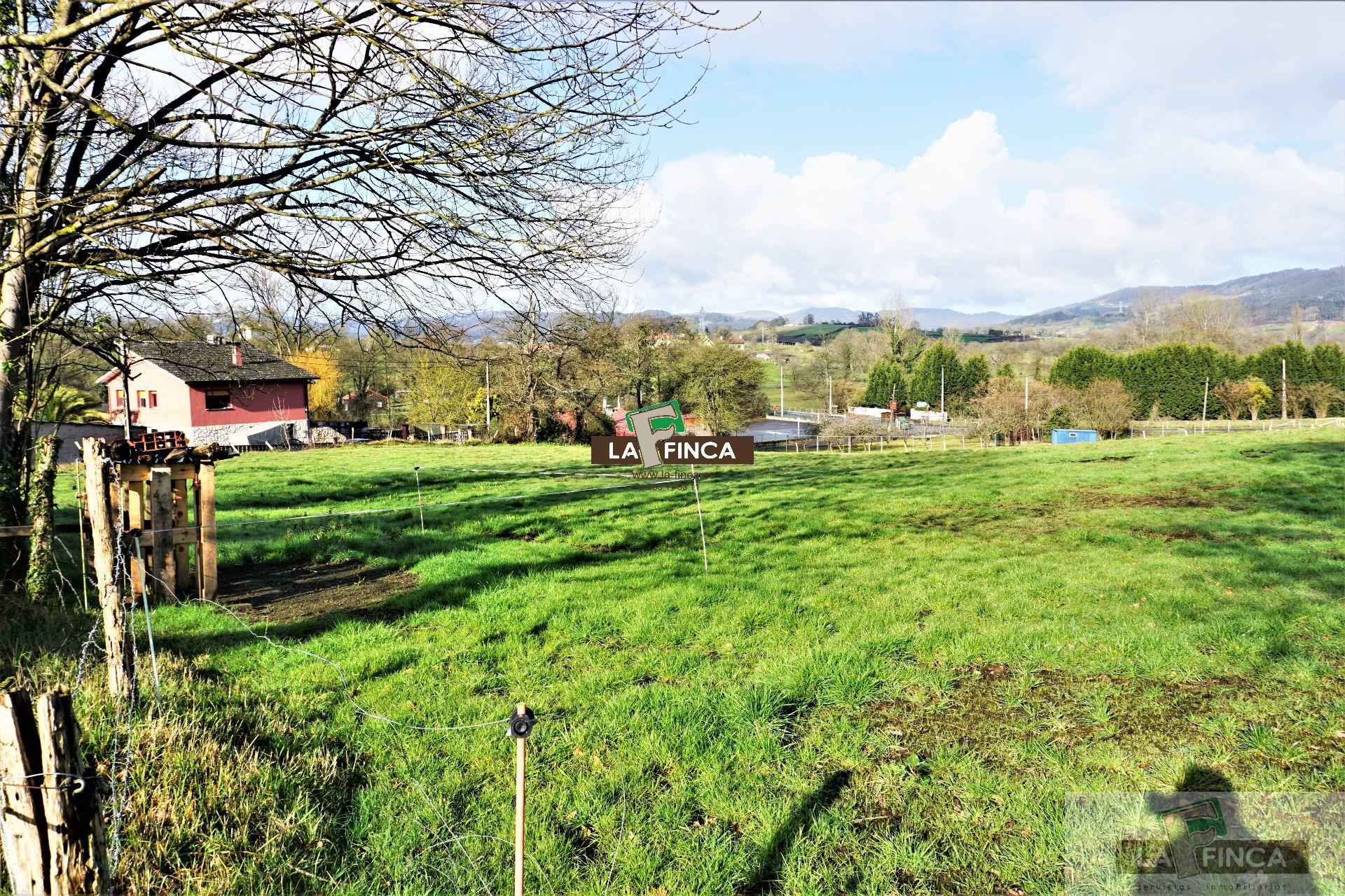 For sale of land in Llanera