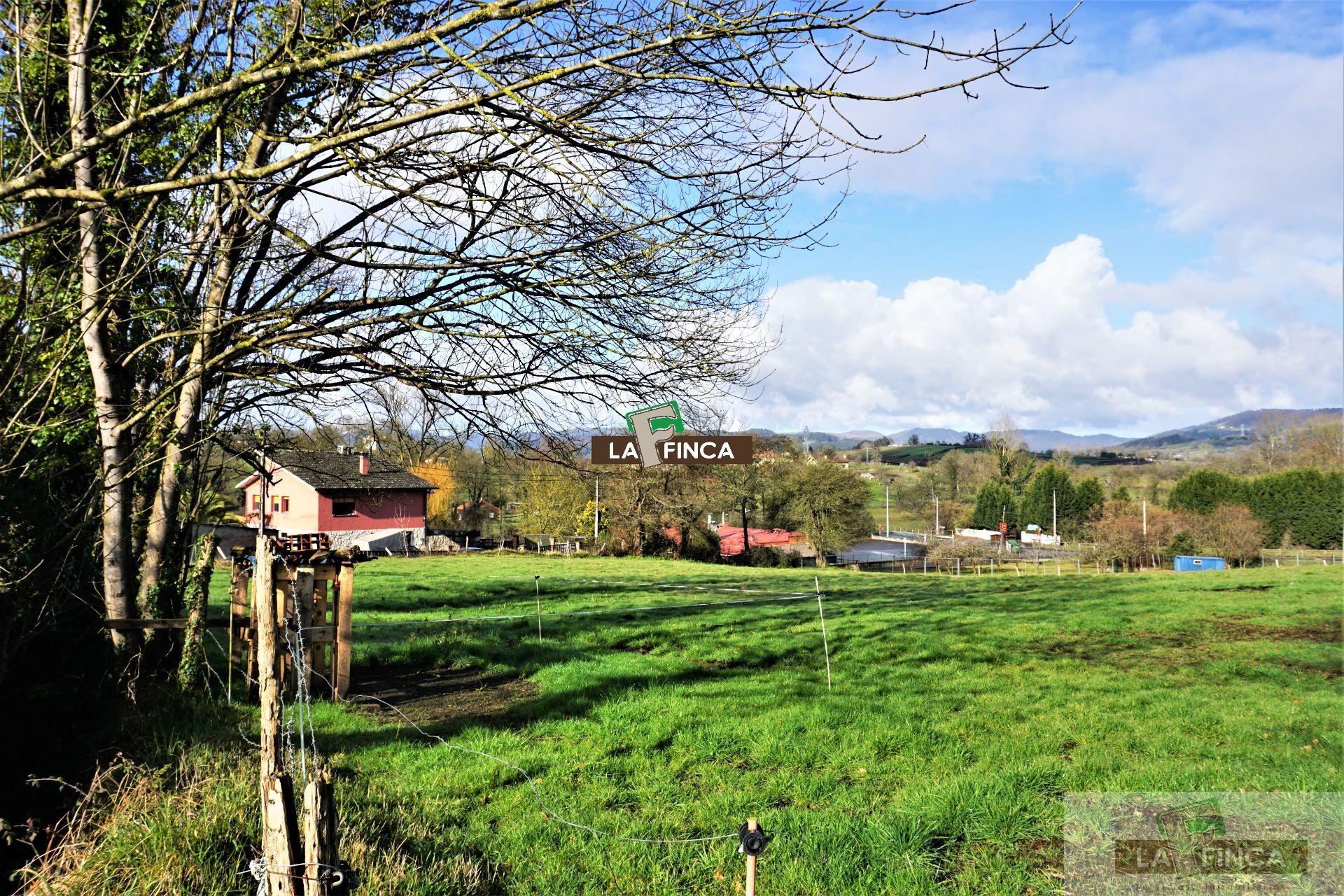 For sale of land in Llanera