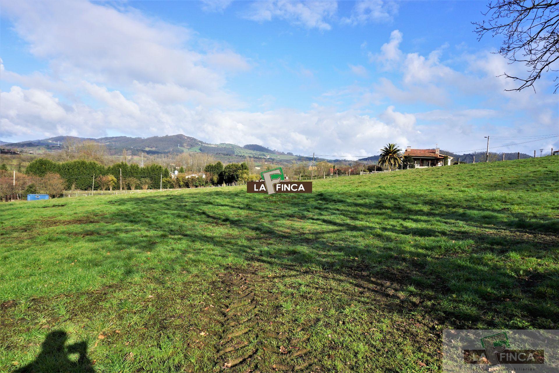 For sale of land in Llanera