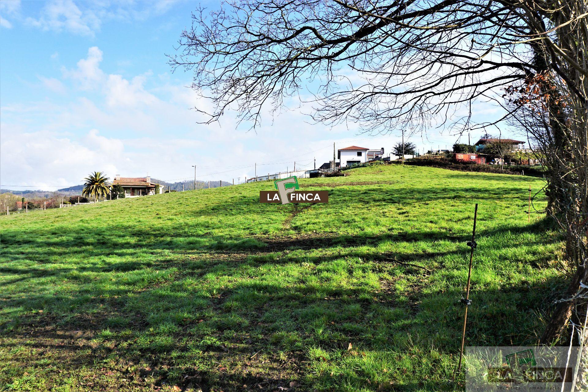For sale of land in Llanera