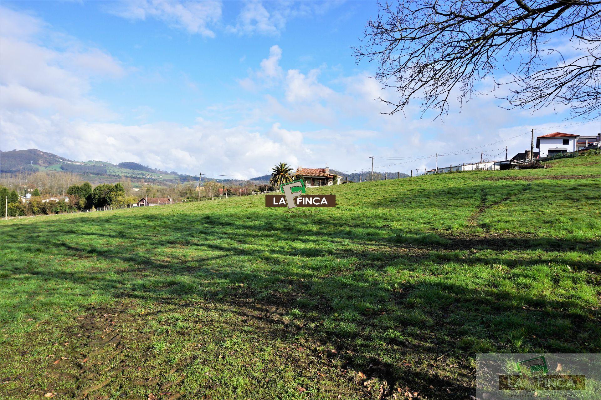 For sale of land in Llanera