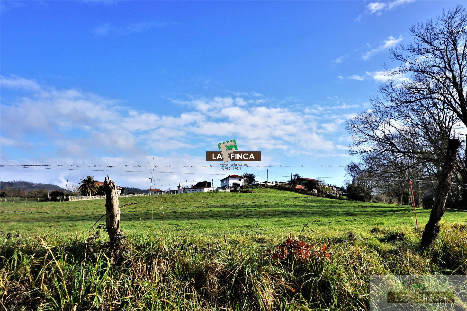 For sale of land in Llanera