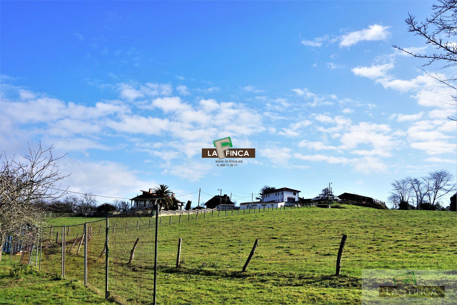 For sale of land in Llanera