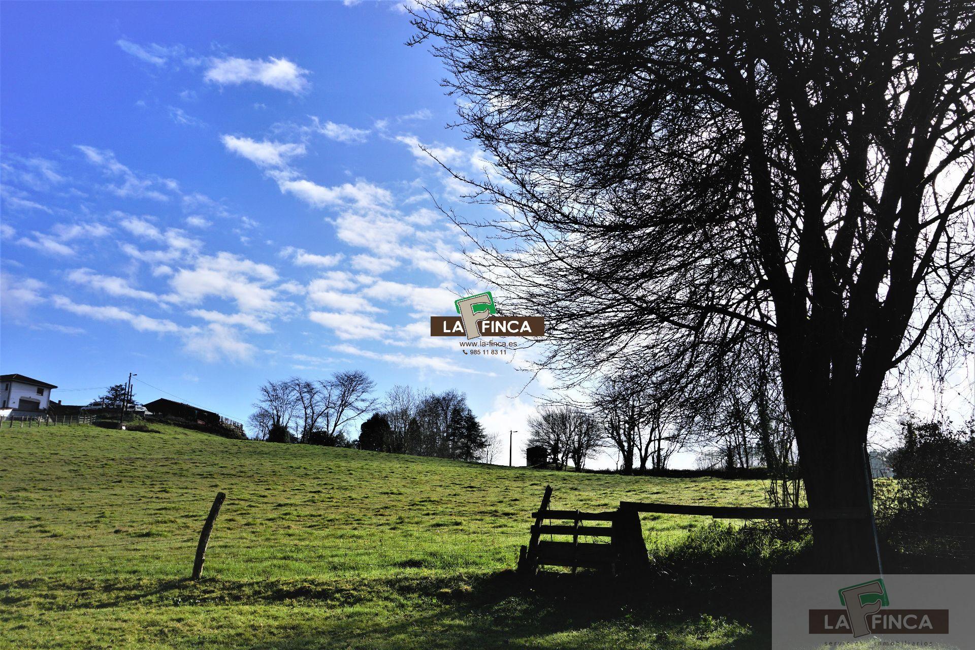 For sale of land in Llanera